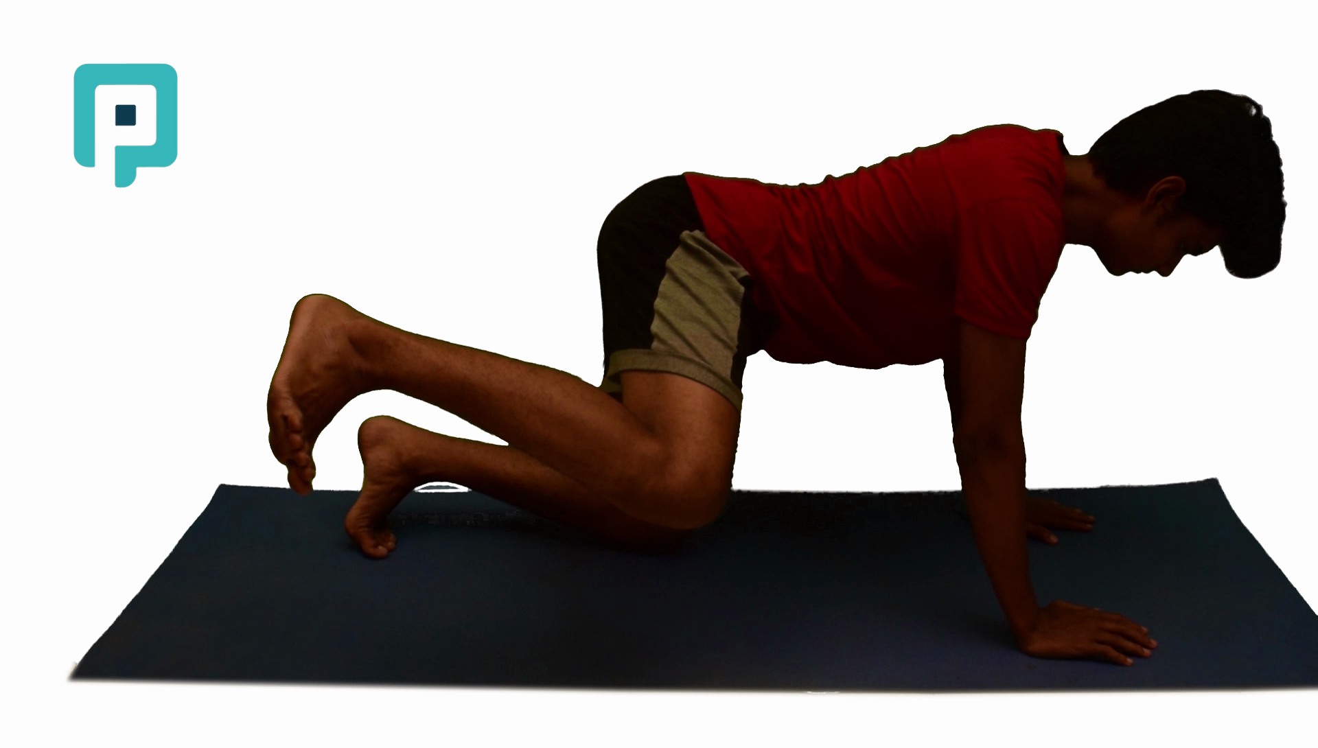 quadruped hip abduction with resistance band - beginner Lower Body exercise