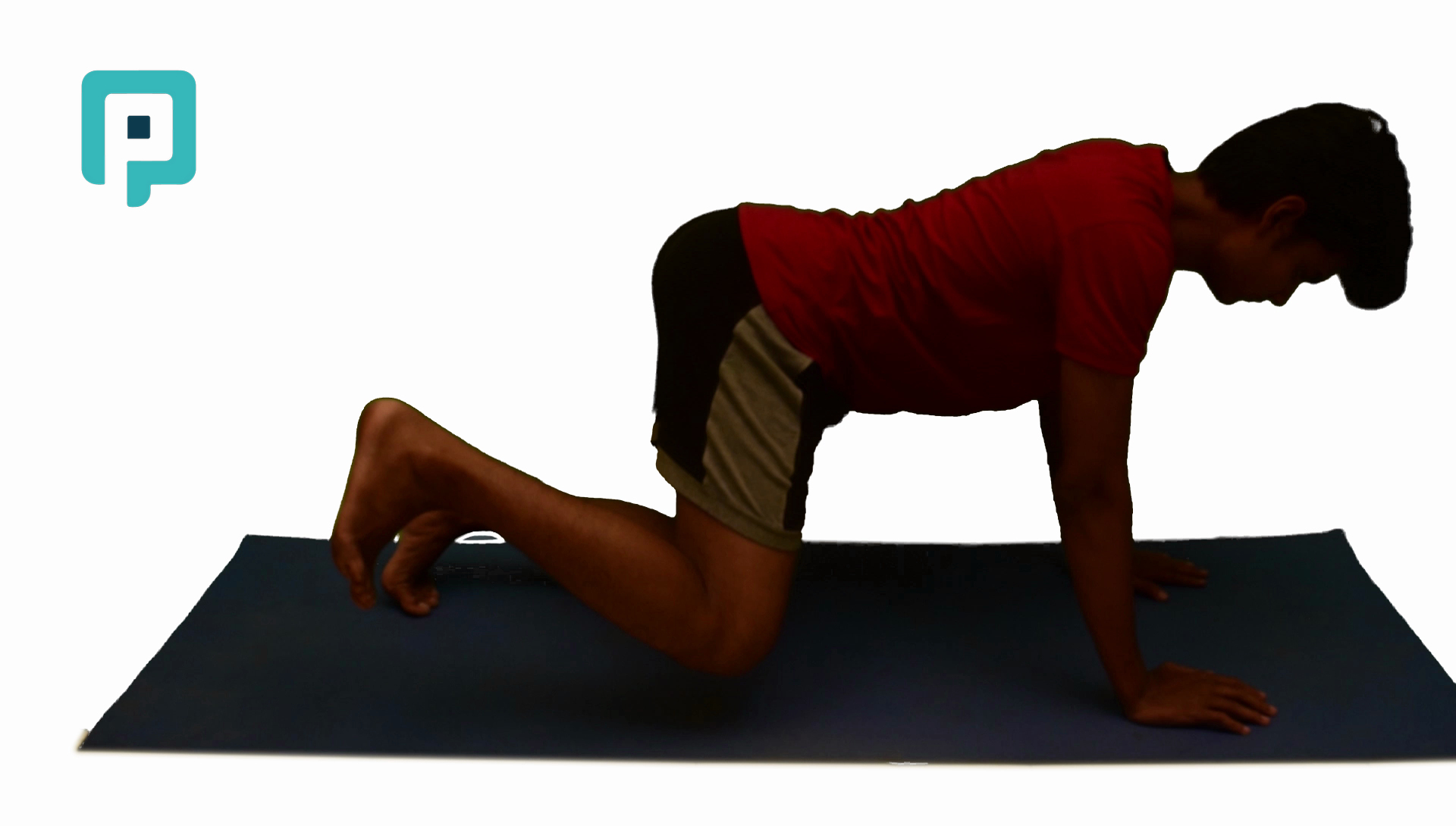 hip abduction quadruped position - beginner Lower Body exercise