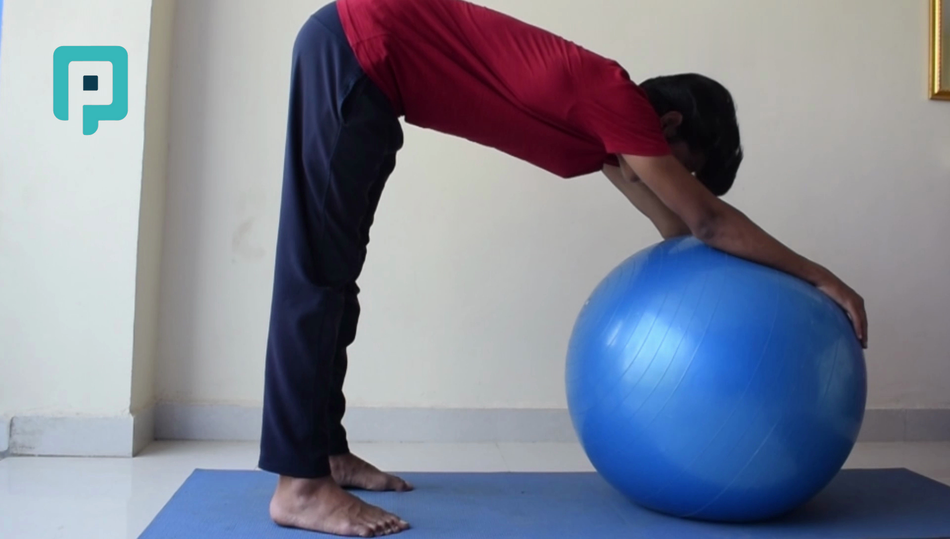 downward dog on swiss ball - beginner Lower Body exercise