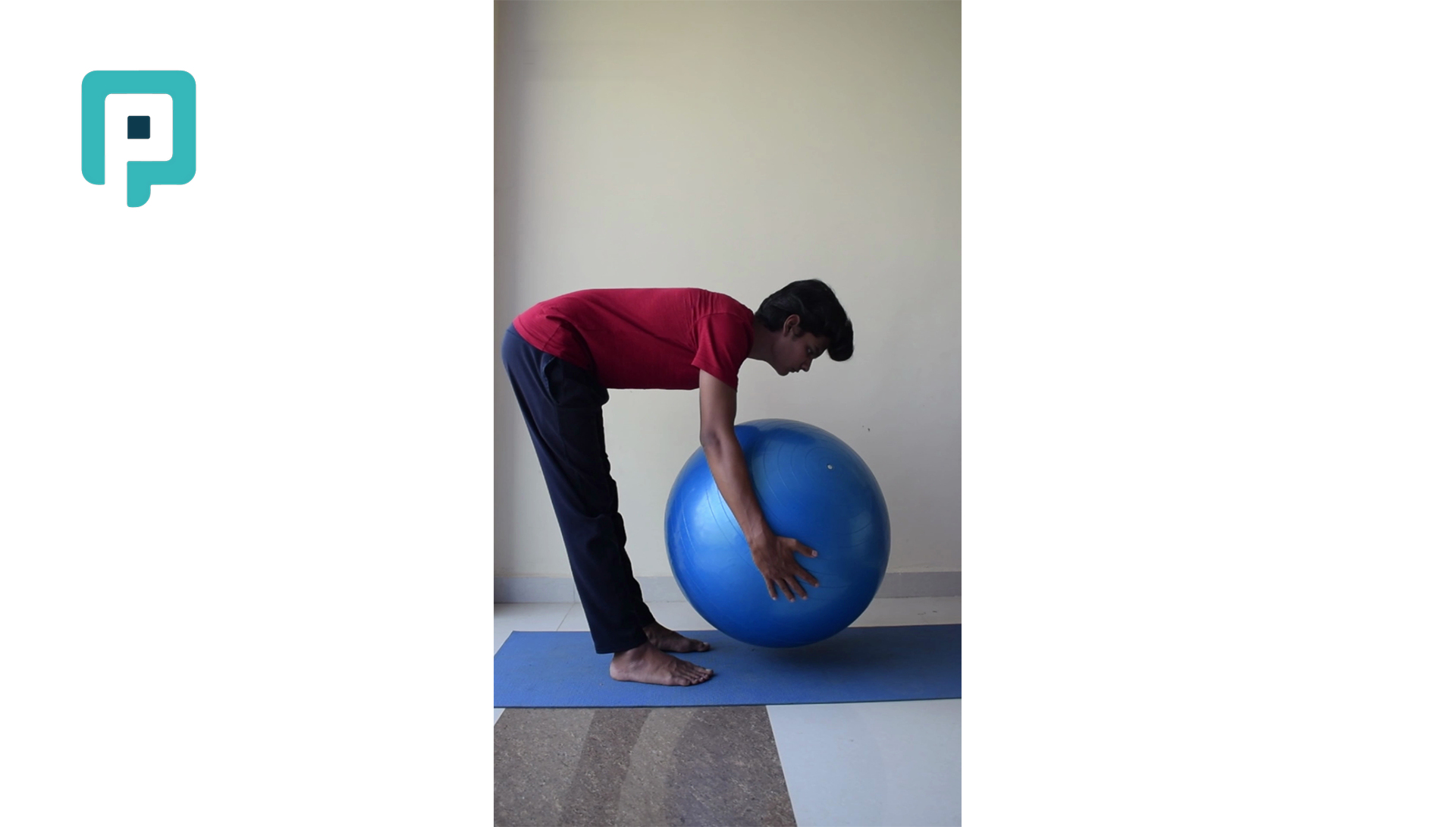 hip hinge with swiss ball hold - beginner Lower Body exercise