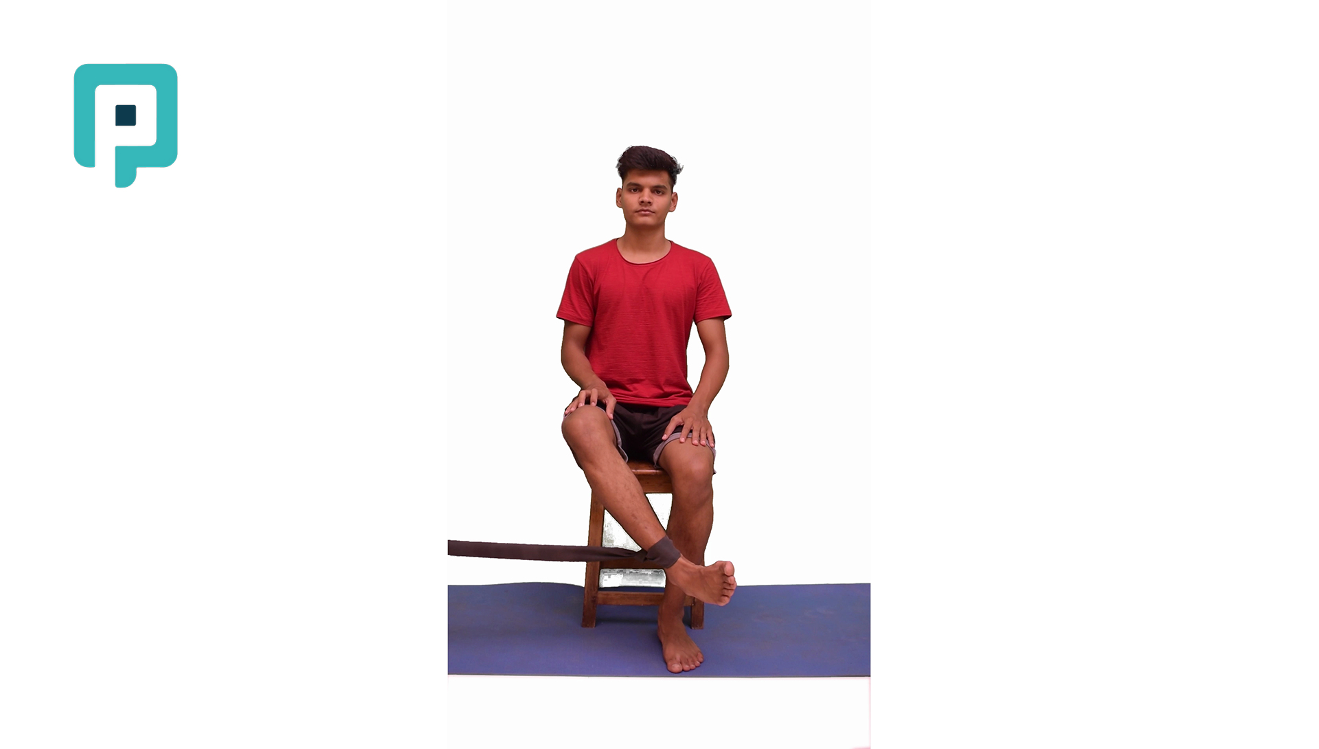 seated hip external rotation with resistance band - beginner Lower Body exercise