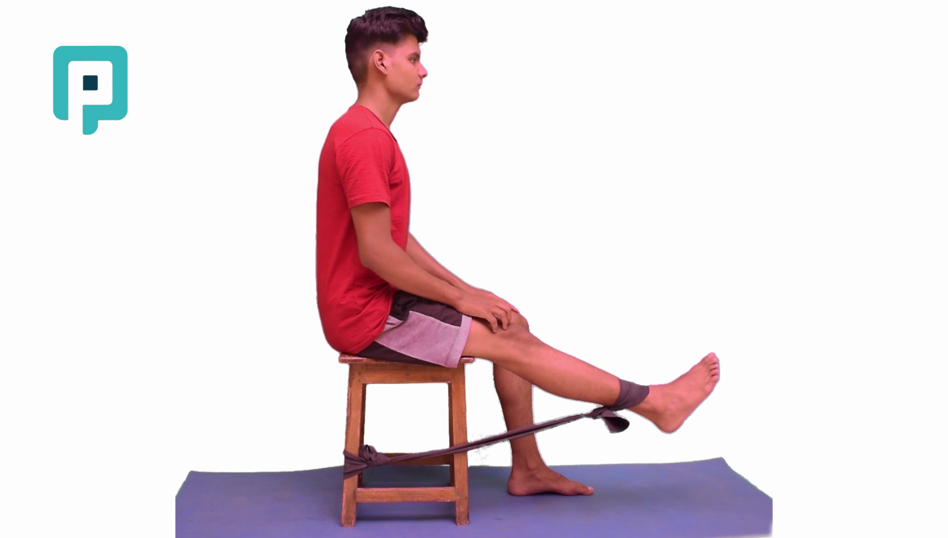 seated knee extension with resistance band - beginner Lower Body exercise