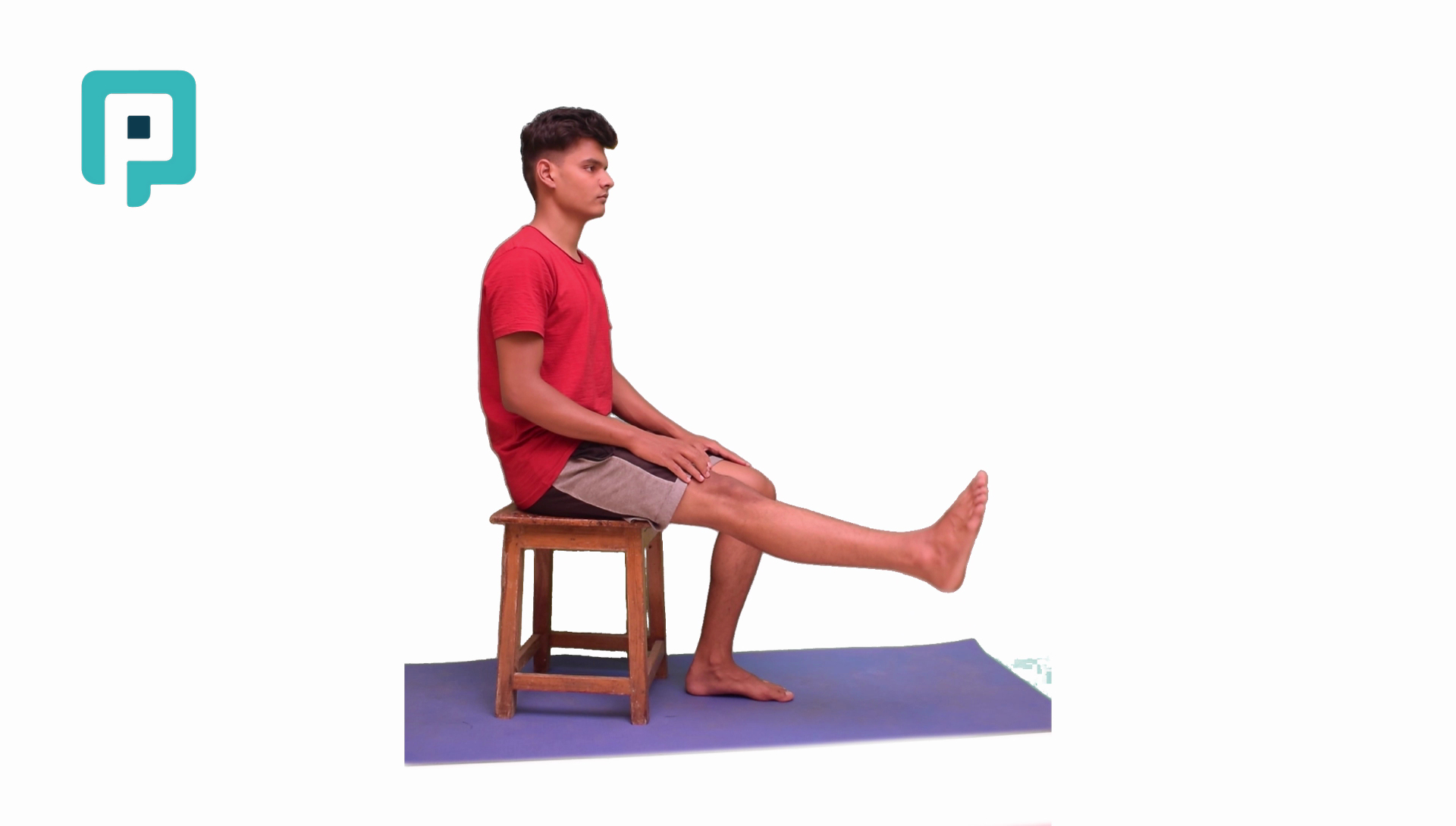 active knee extension and flexion in sitting - beginner Lower Body exercise