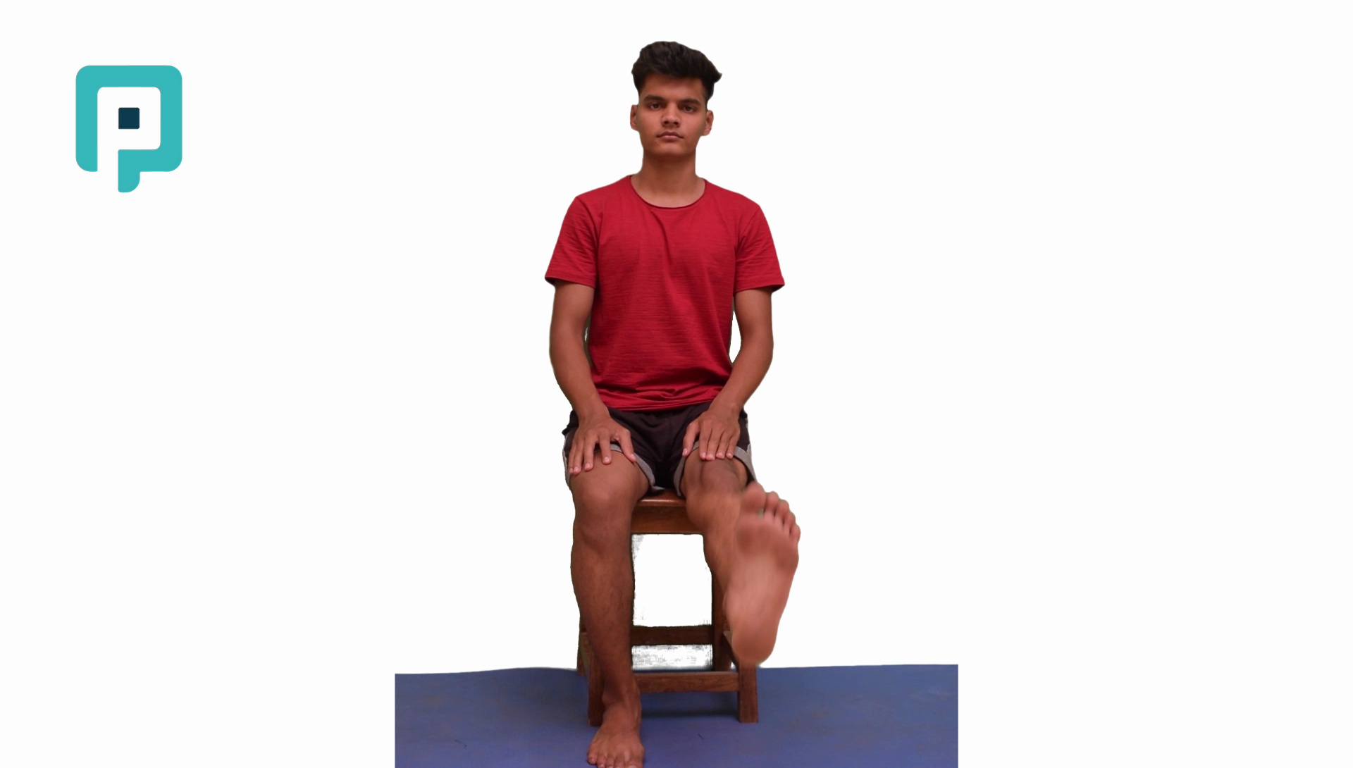 vmo - beginner Lower Body exercise