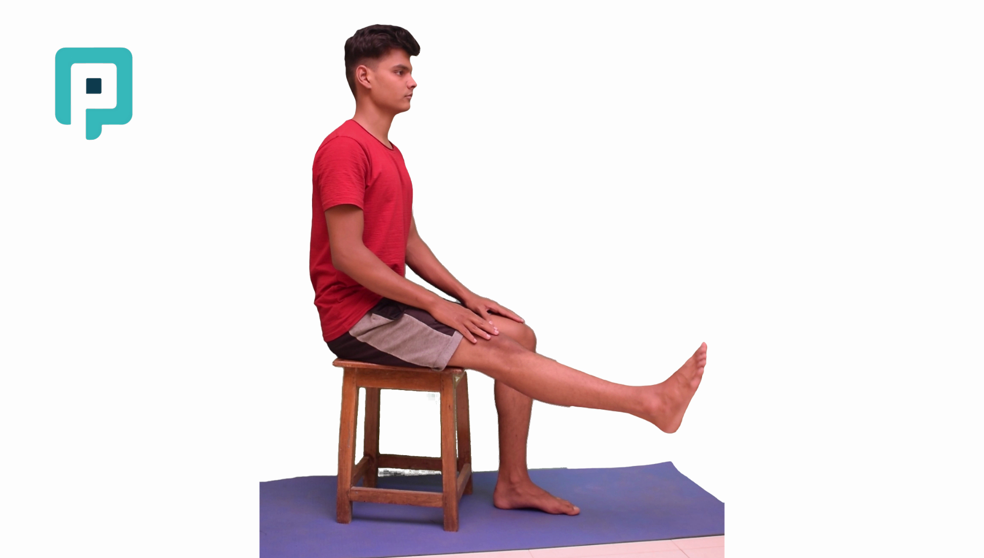 knee extension against gravity - beginner Lower Body exercise