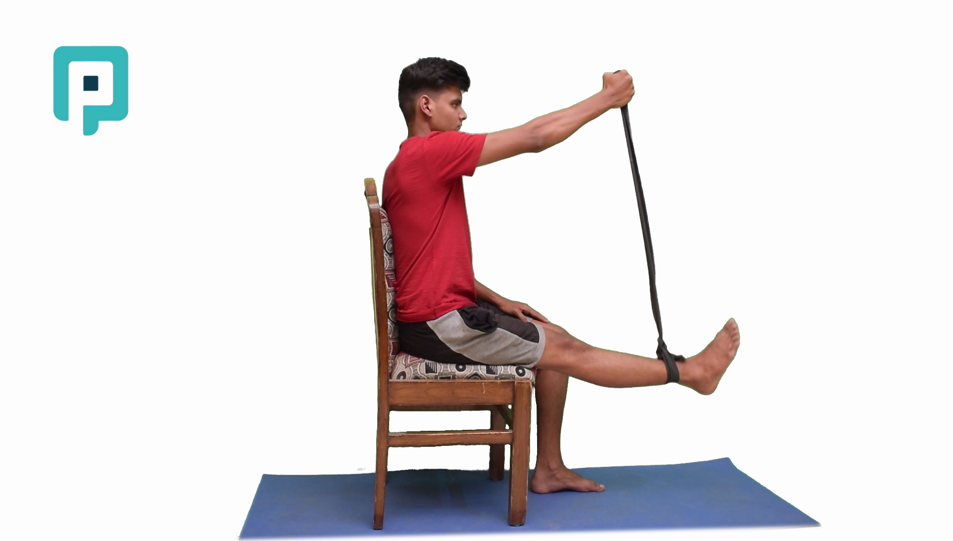 seated knee flexion against resistance band - beginner Lower Body exercise