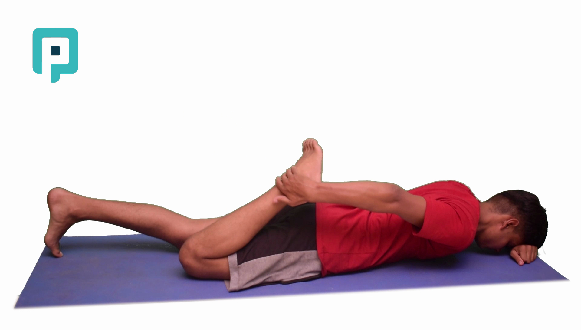 prone quadriceps stretch - beginner Lower Body exercise