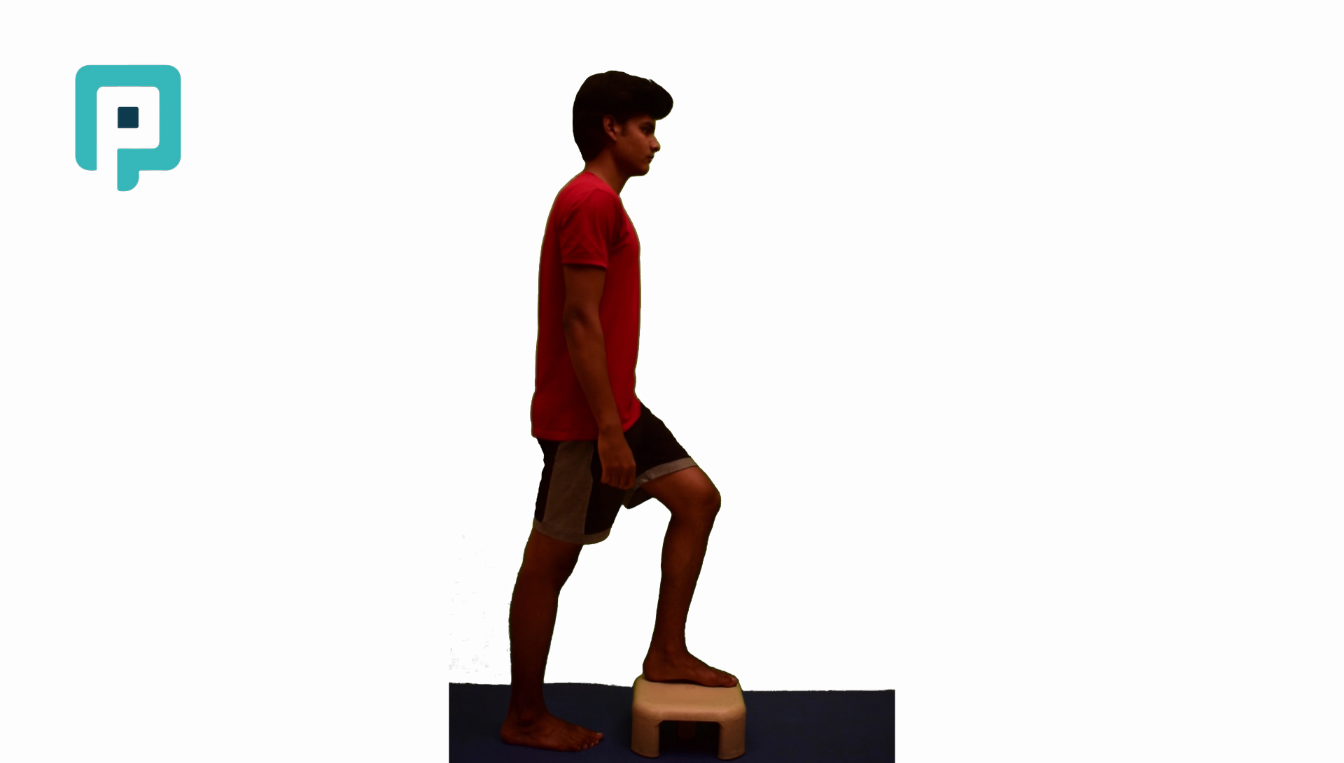 step up and down bilateral alternating - beginner Lower Body exercise