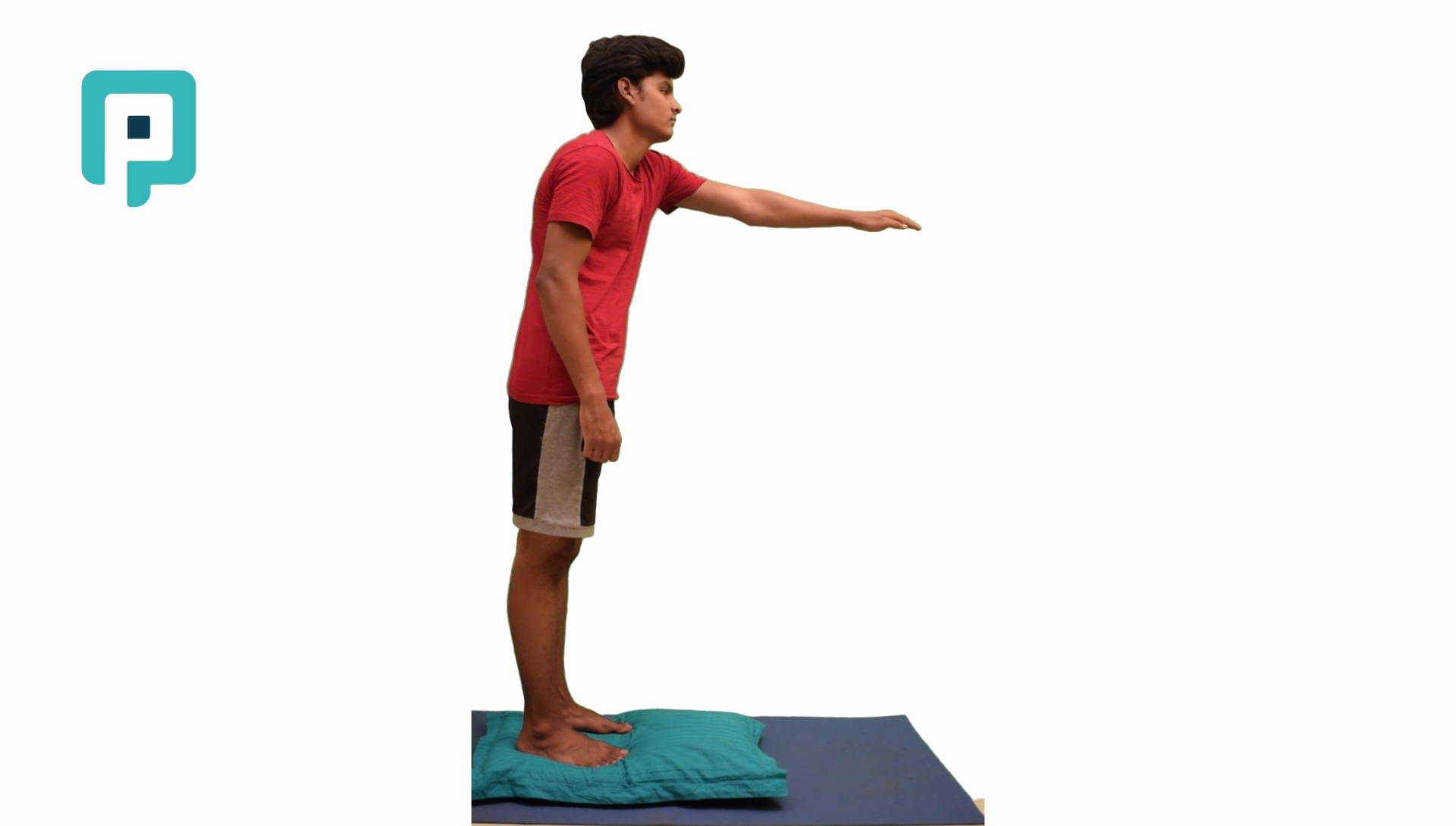 standing pillow balance with forward reach - beginner Lower Body exercise
