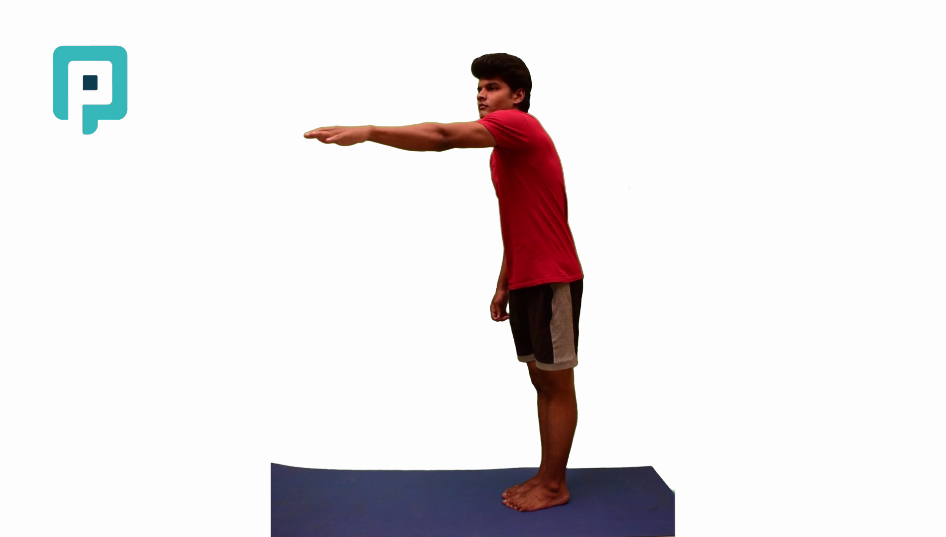 standing single arm reach on narrow base - beginner Lower Body exercise