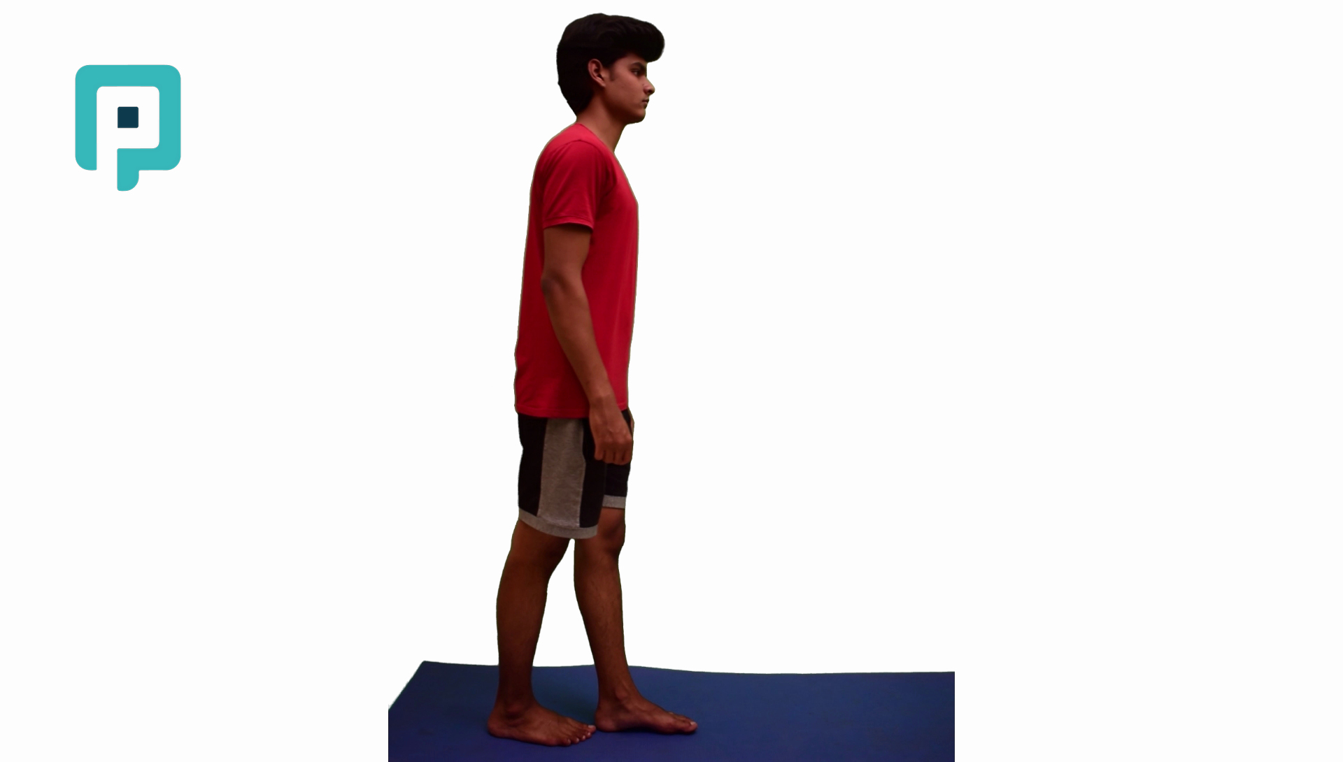 tandem walking forward and backward - beginner Lower Body exercise