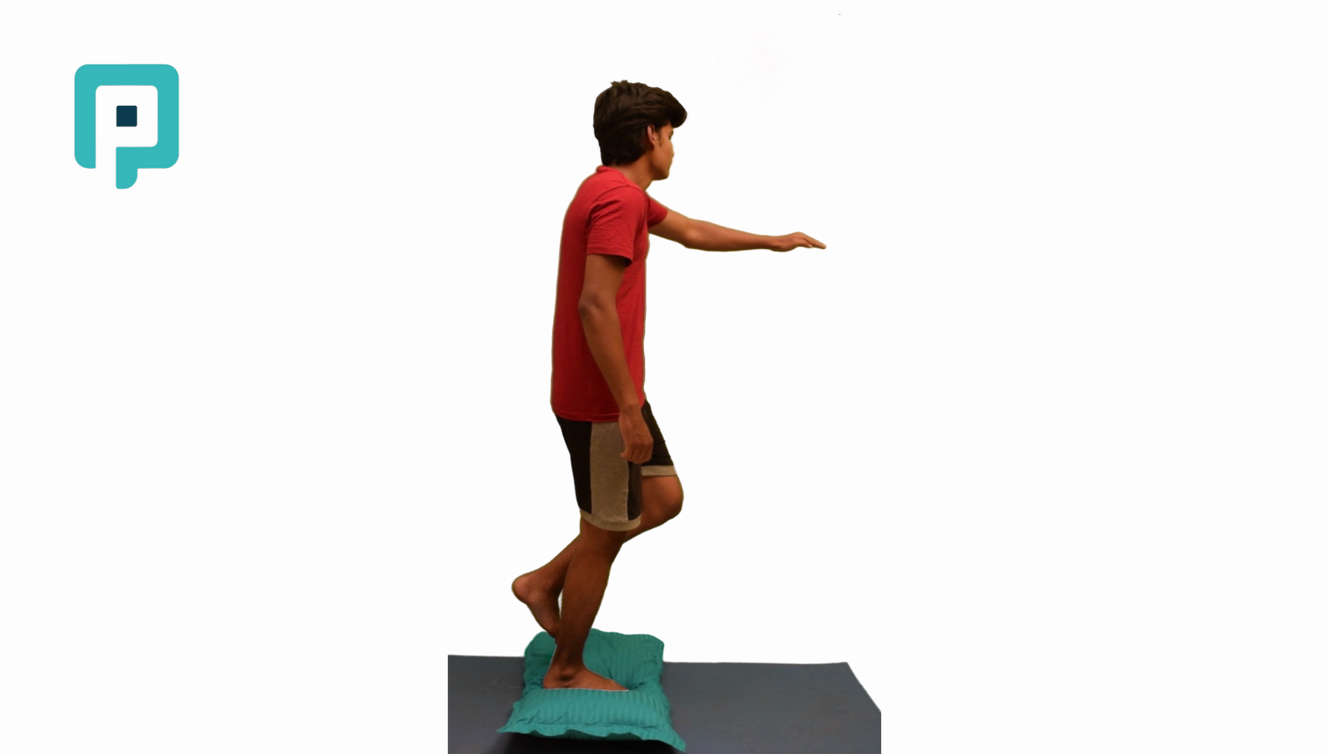 single leg balance with reaching on pillow - beginner Lower Body exercise