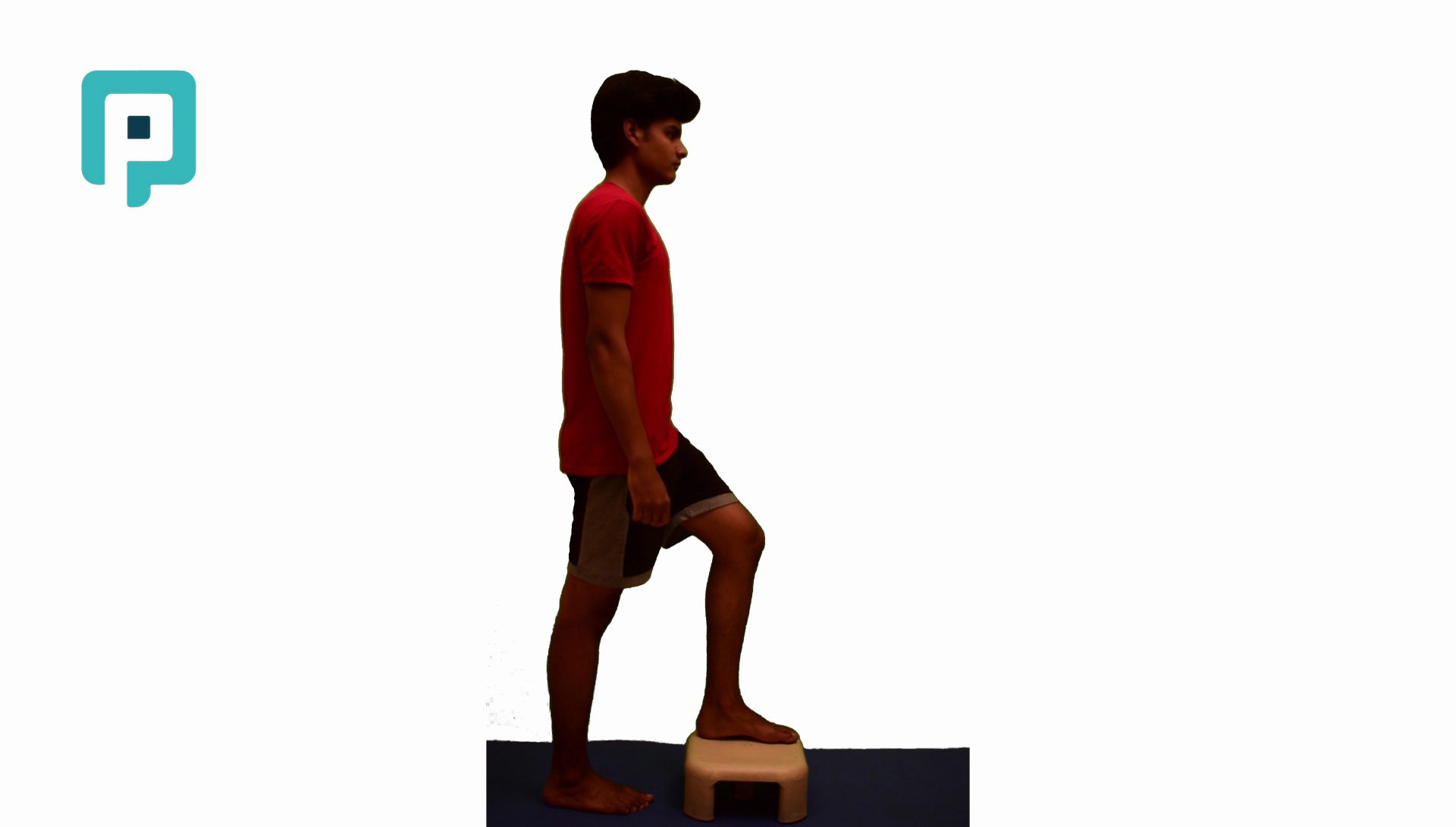 forward step up and down - beginner Lower Body exercise