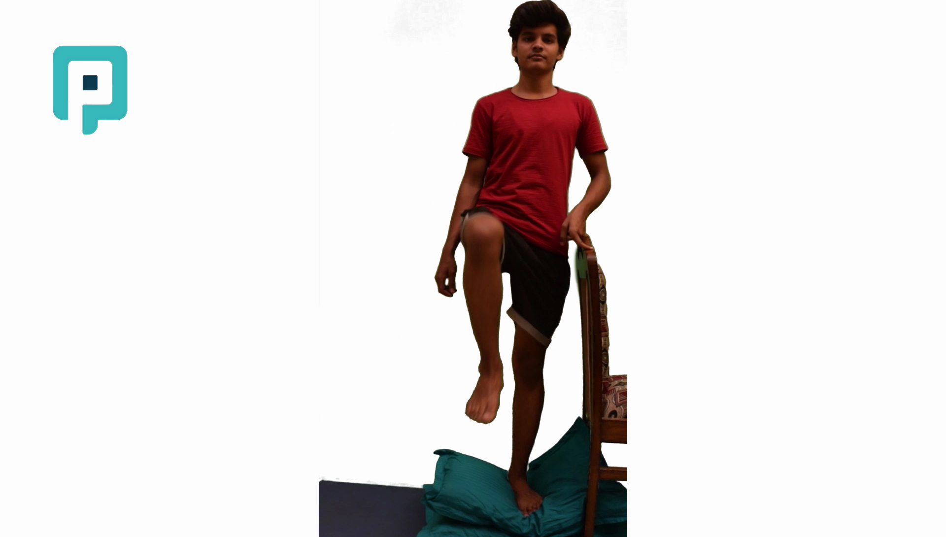 single leg balance on unstable surface with chair support - beginner Lower Body exercise