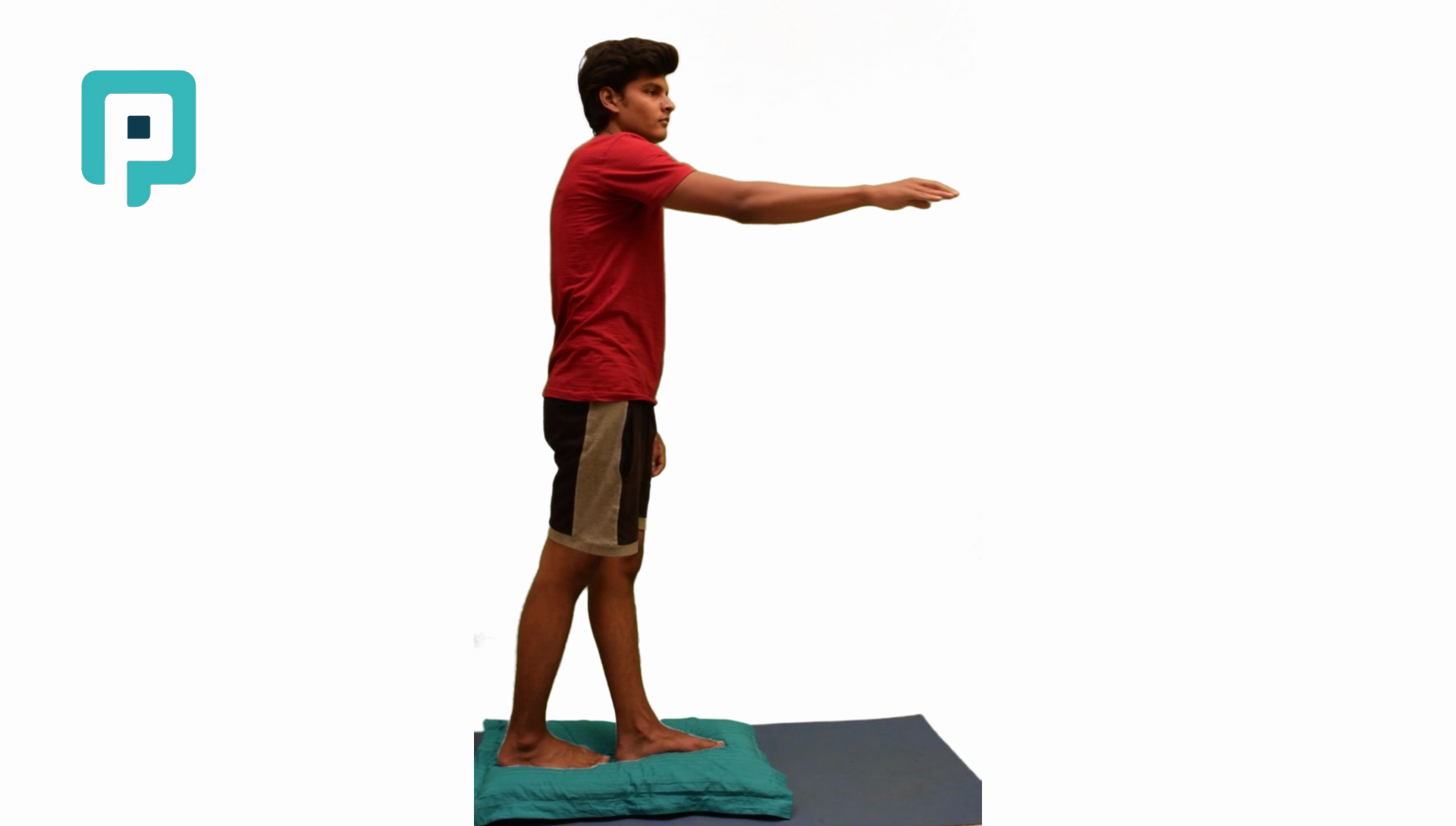 tandem stance forward reach on pillow - beginner Lower Body exercise