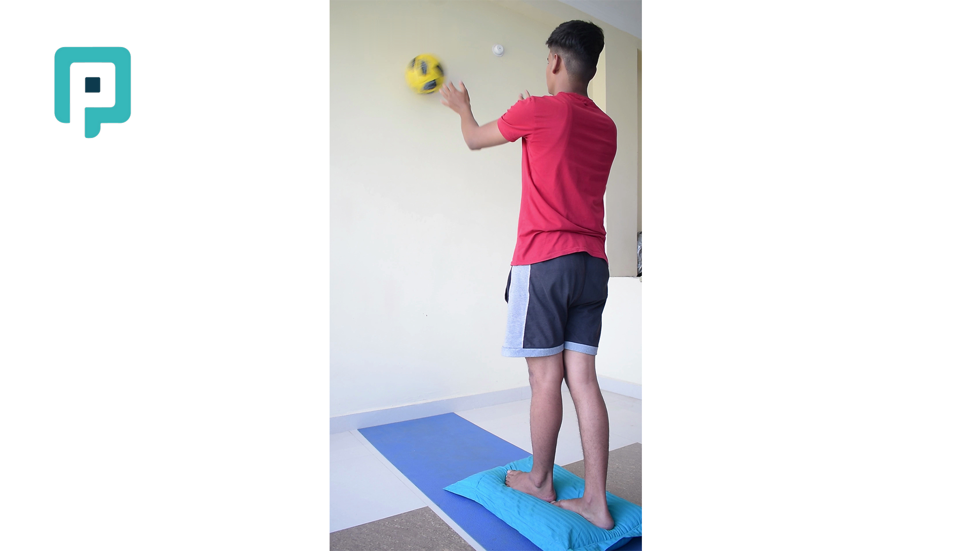 tandem standing ball toss on pillow - beginner Lower Body exercise