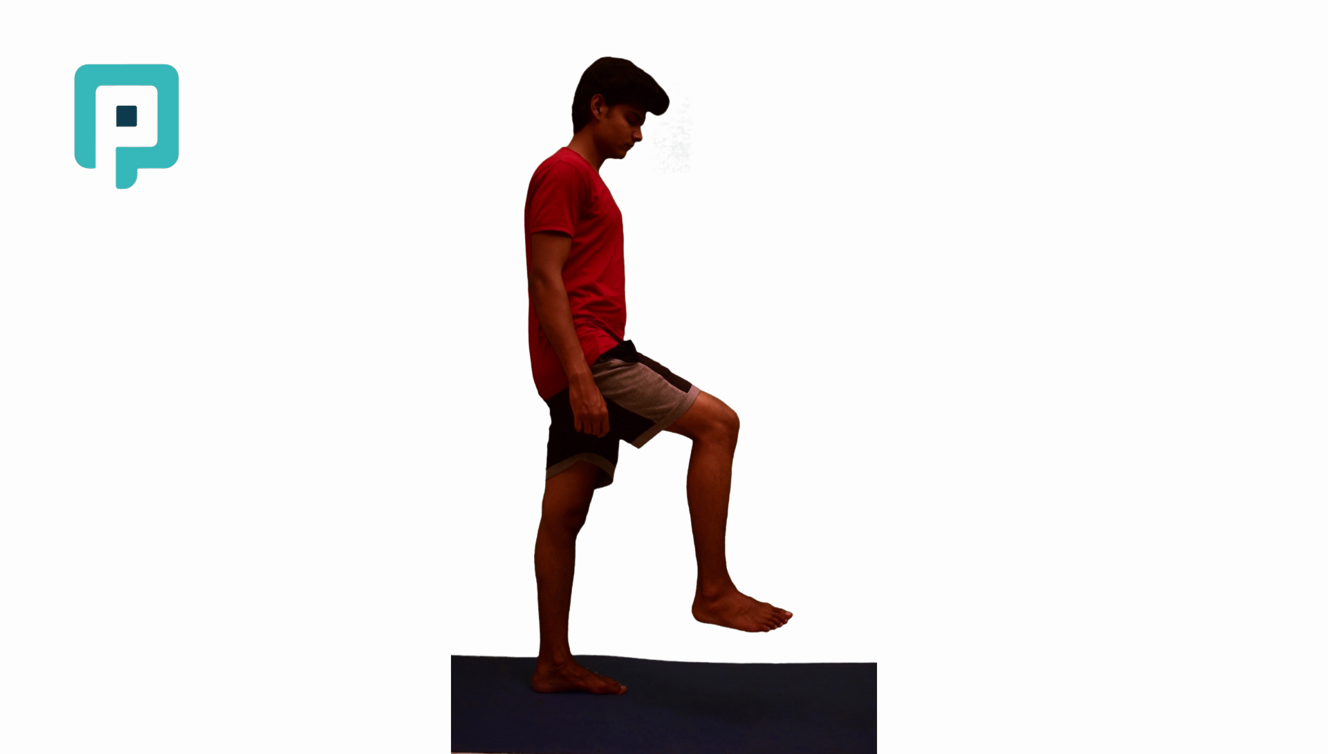 single leg reach with free leg movement - beginner Lower Body exercise