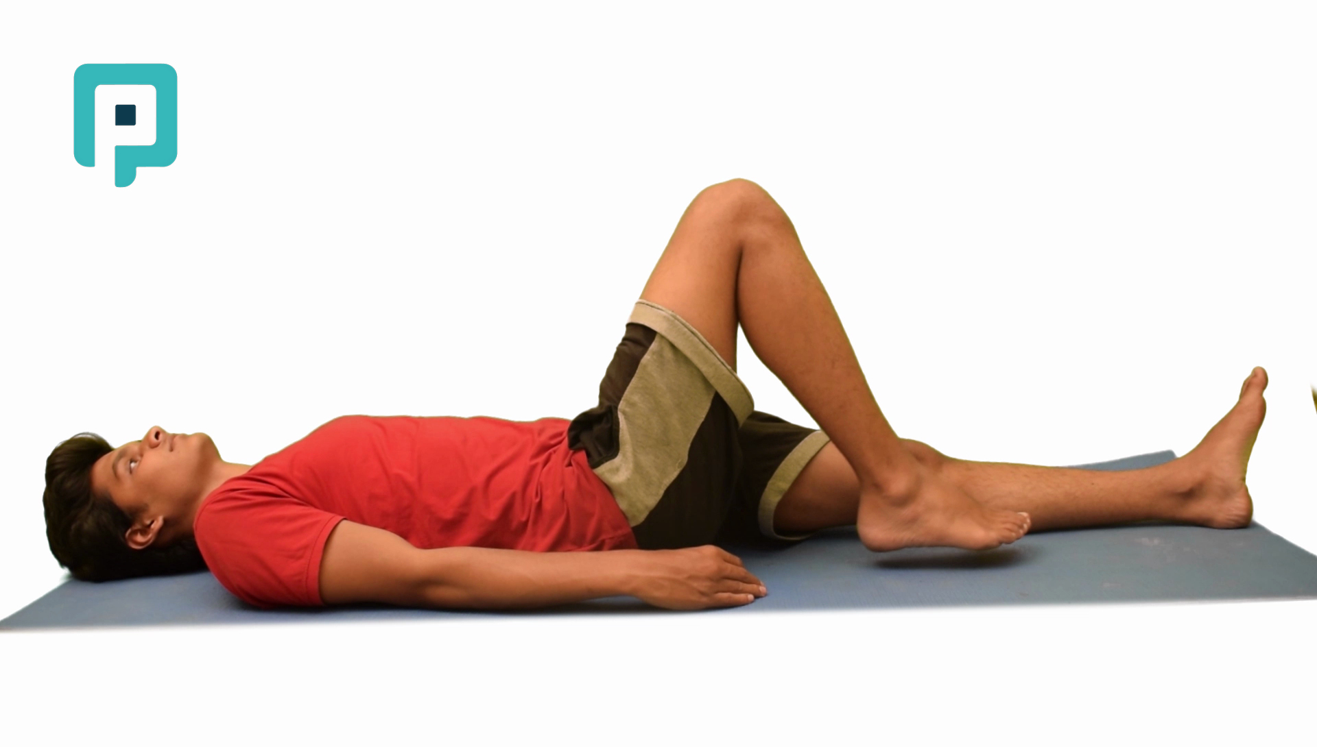 active knee flexion and extension supine - beginner Lower Body exercise
