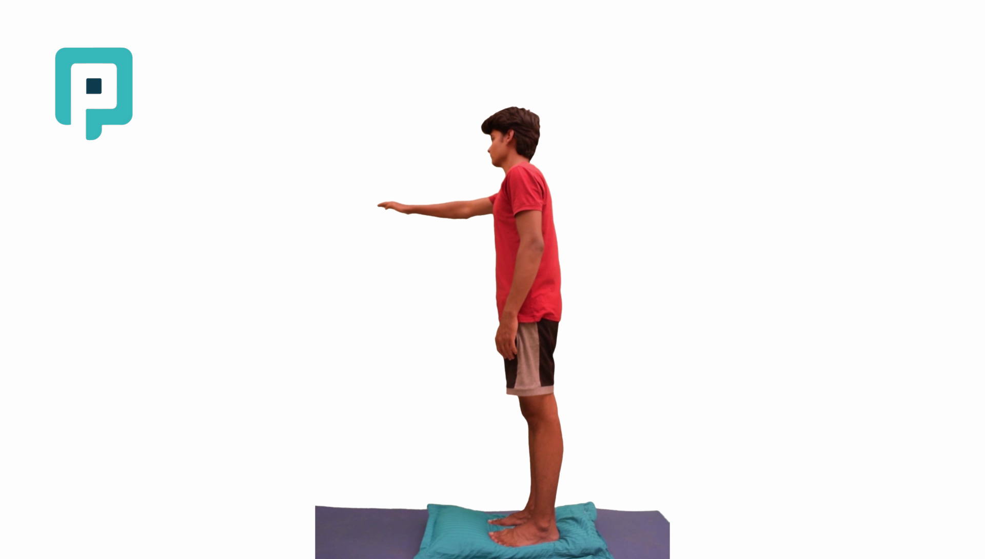 standing pillow balance with reaching activity - beginner Lower Body exercise