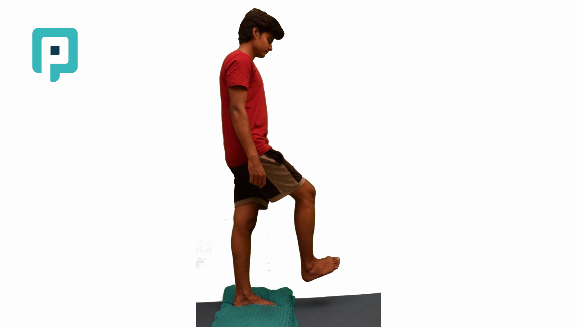 single leg standing balance on pillow with opposite leg reach - beginner Lower Body exercise
