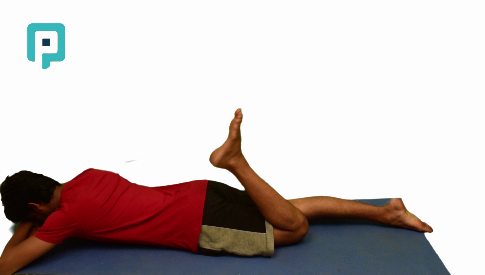 prone alternating knee flexion and extension - beginner Lower Body exercise