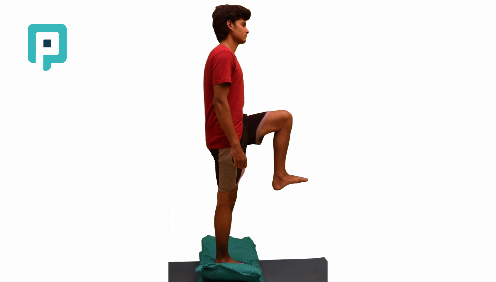 pillow marching balance exercise - beginner Lower Body exercise