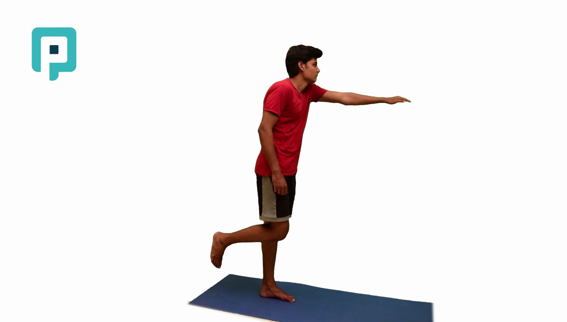 single leg standing with reaching movements - beginner Lower Body exercise
