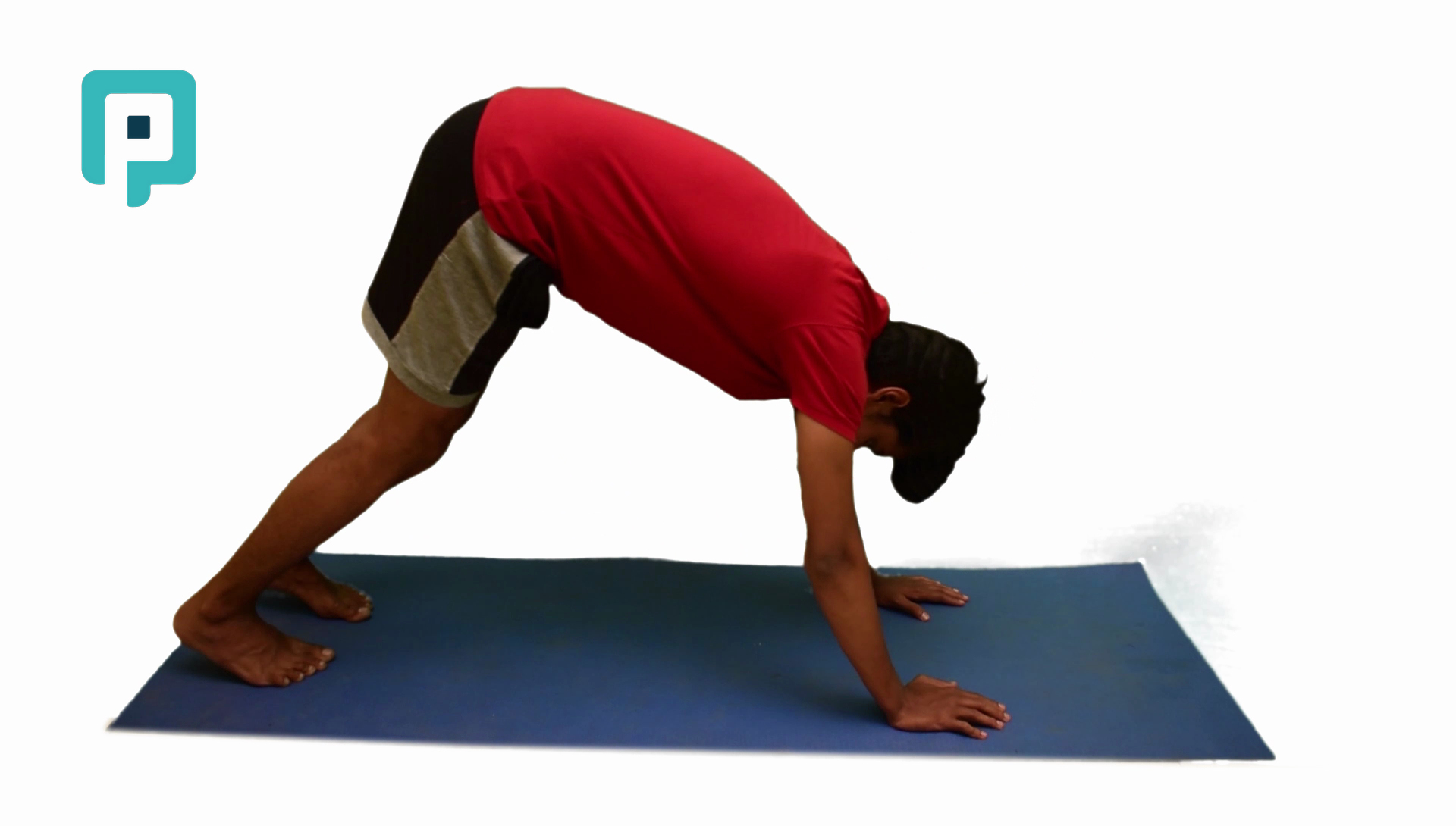 downward dog dynamic stretching exercise - beginner Lower Body exercise