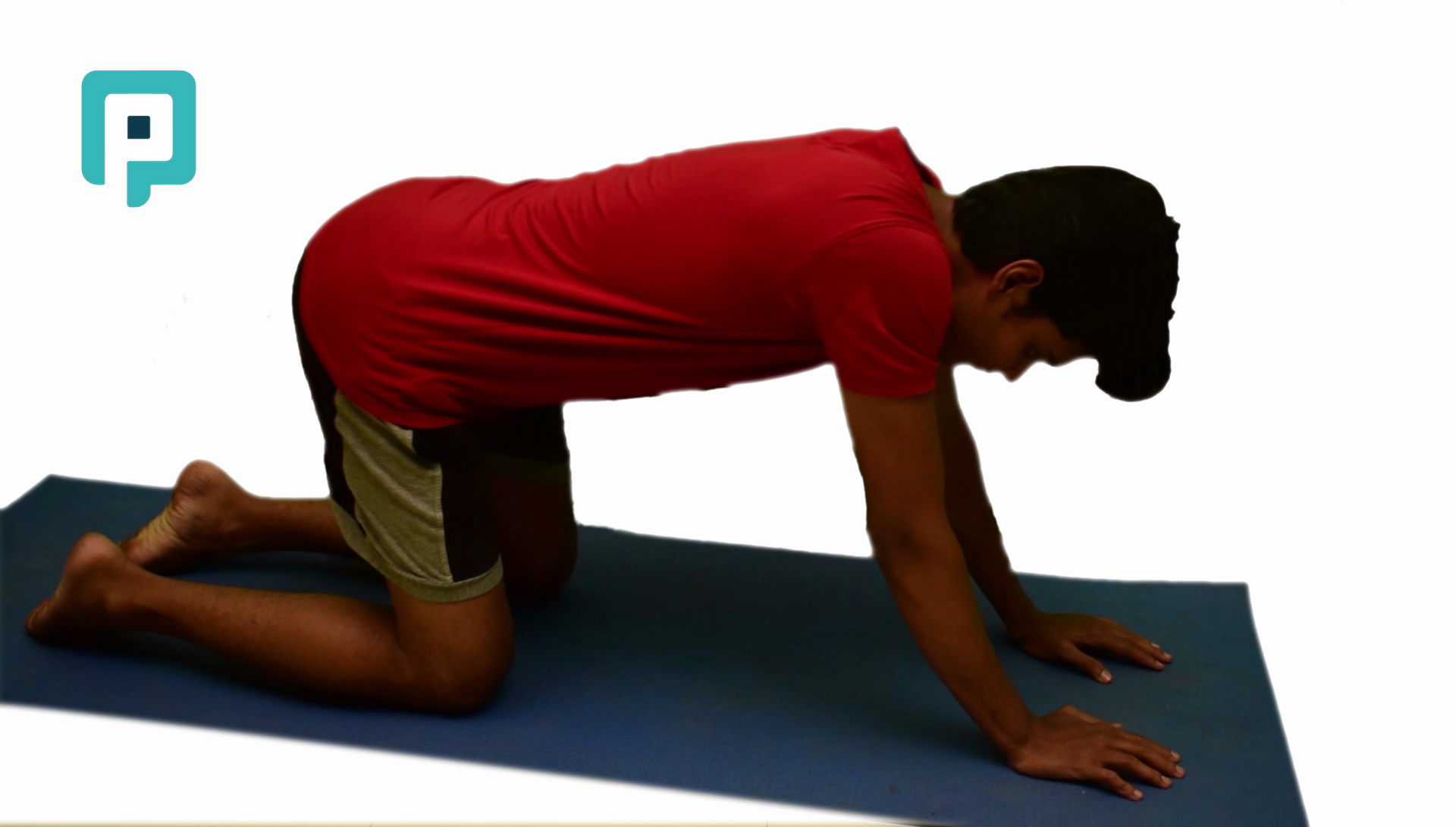 baby pose stretch from quadruped position - beginner Lower Body exercise