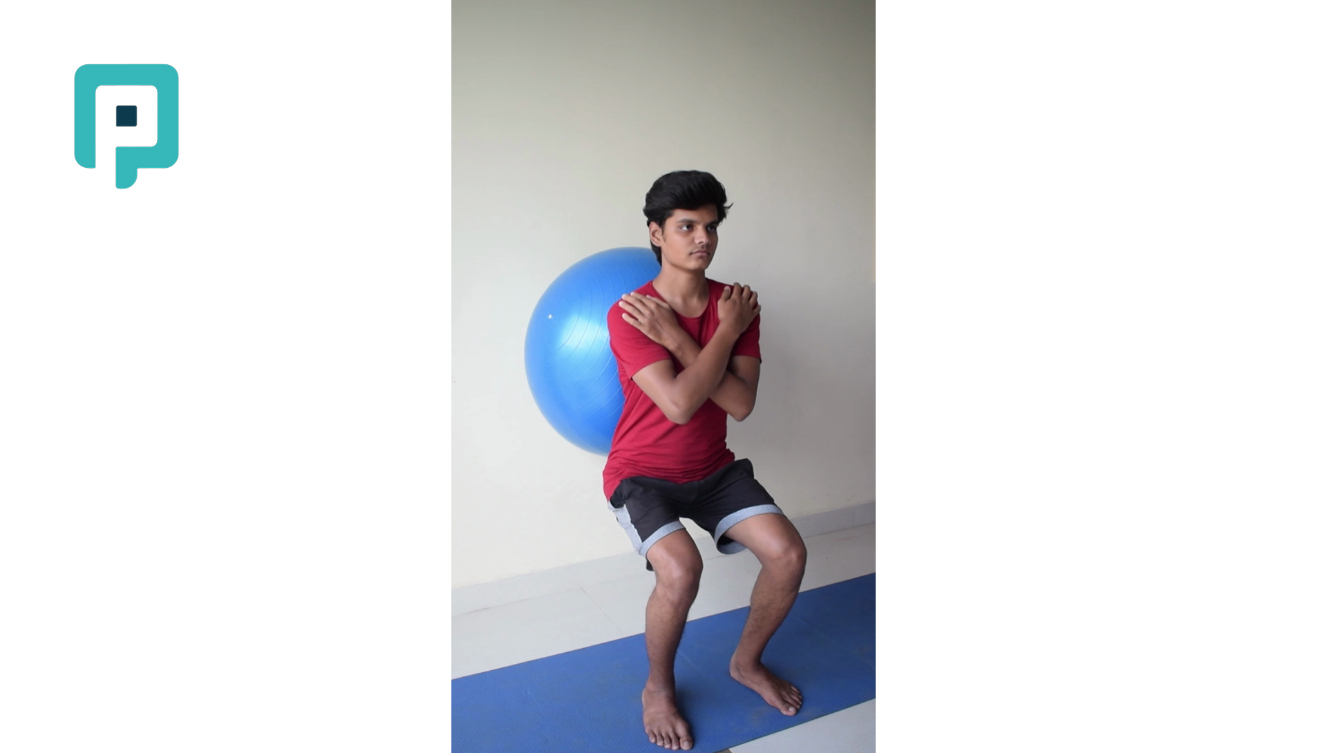swiss ball wall squat - beginner Lower Body exercise