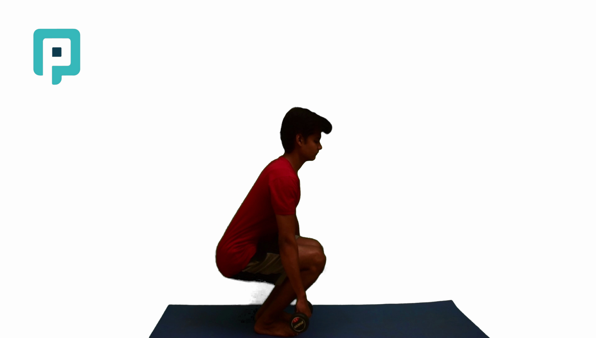 squating holding weights - beginner Lower Body exercise