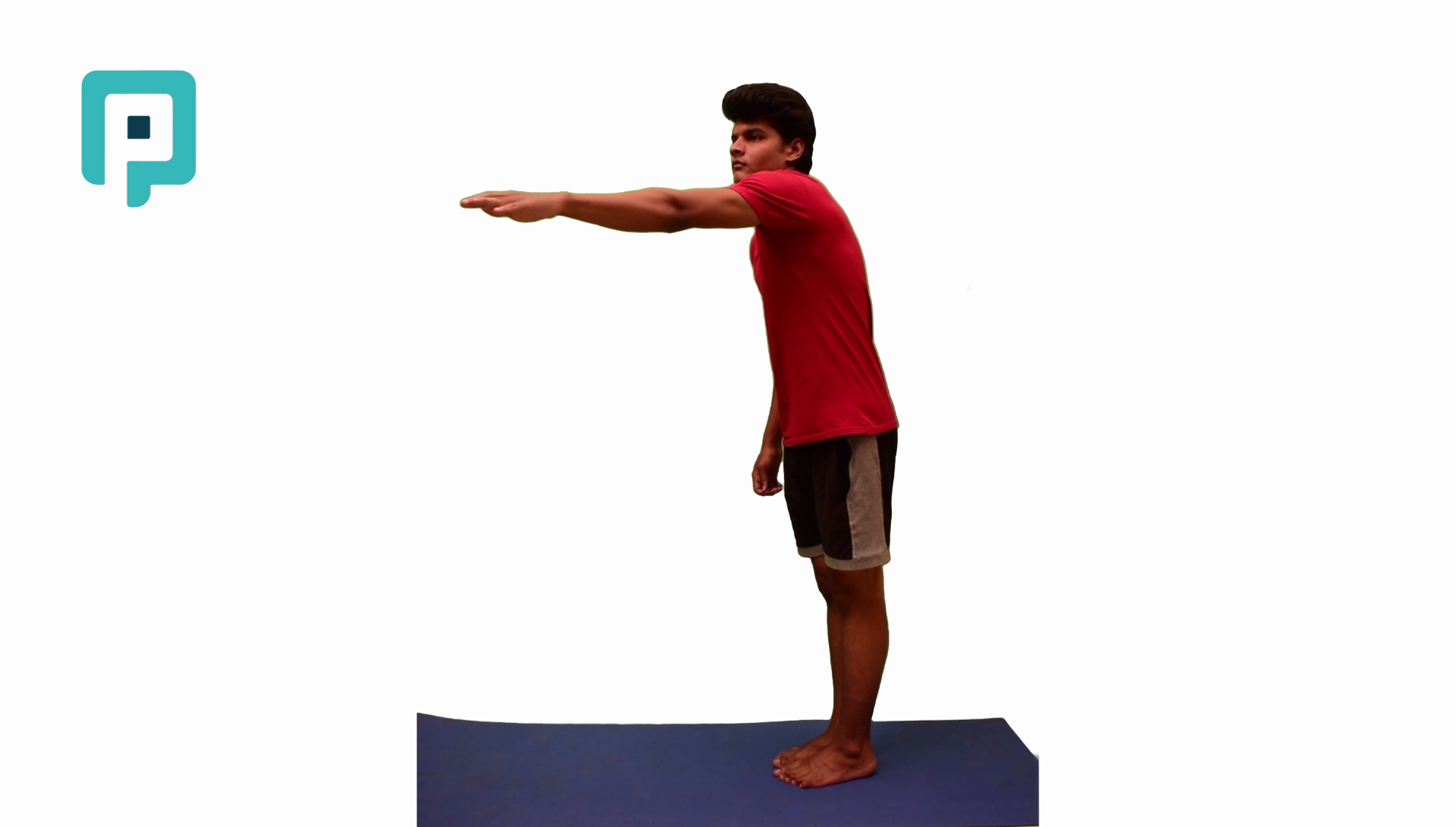 single leg standing reach with narrow base - beginner Lower Body exercise