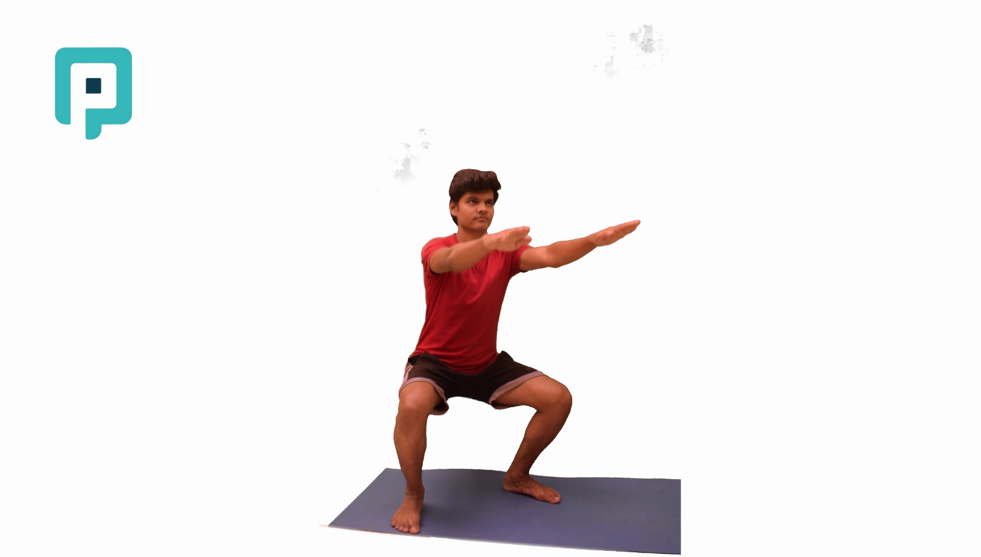 wide stance squat - beginner Lower Body exercise