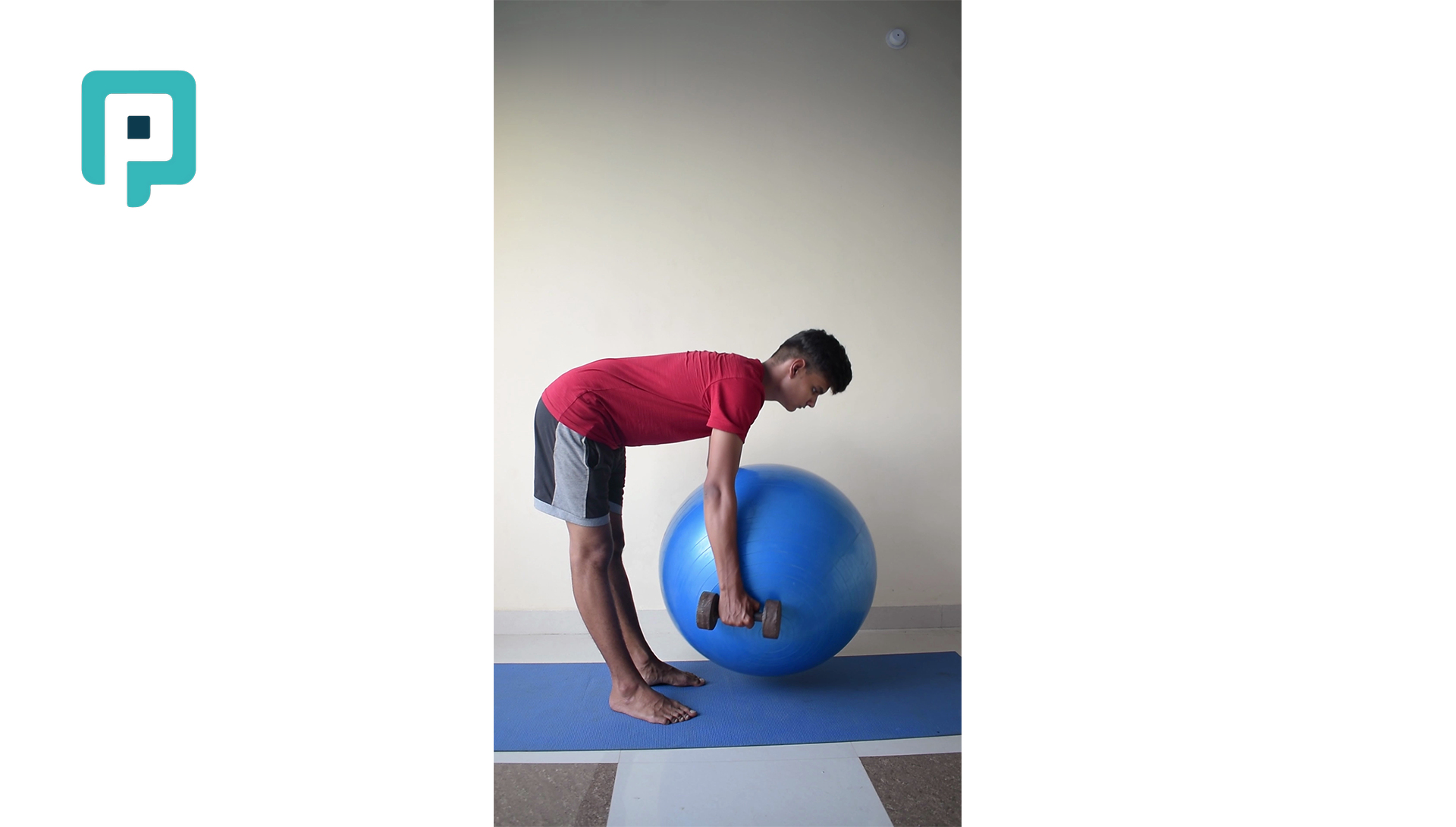 swiss ball and dumbbell deadlift - beginner Lower Body exercise