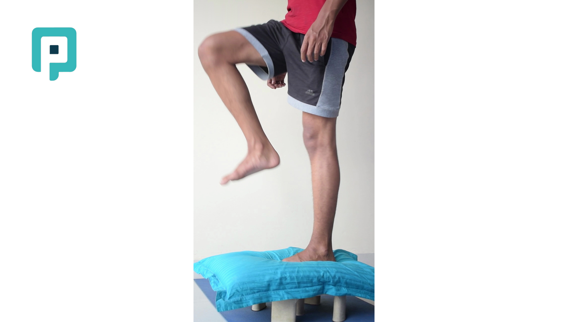 single leg step up with pillow and hold - beginner Lower Body exercise