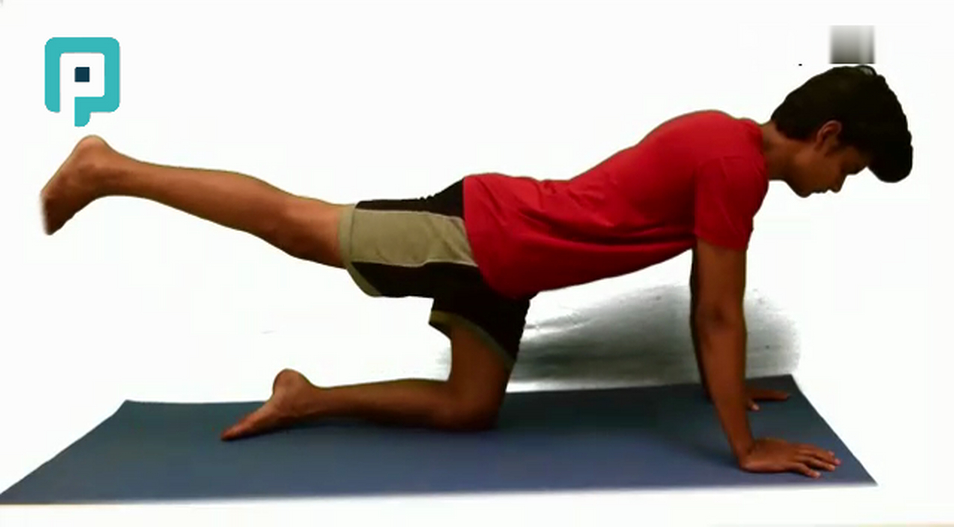 quadruped hip extension - beginner Trunk exercise