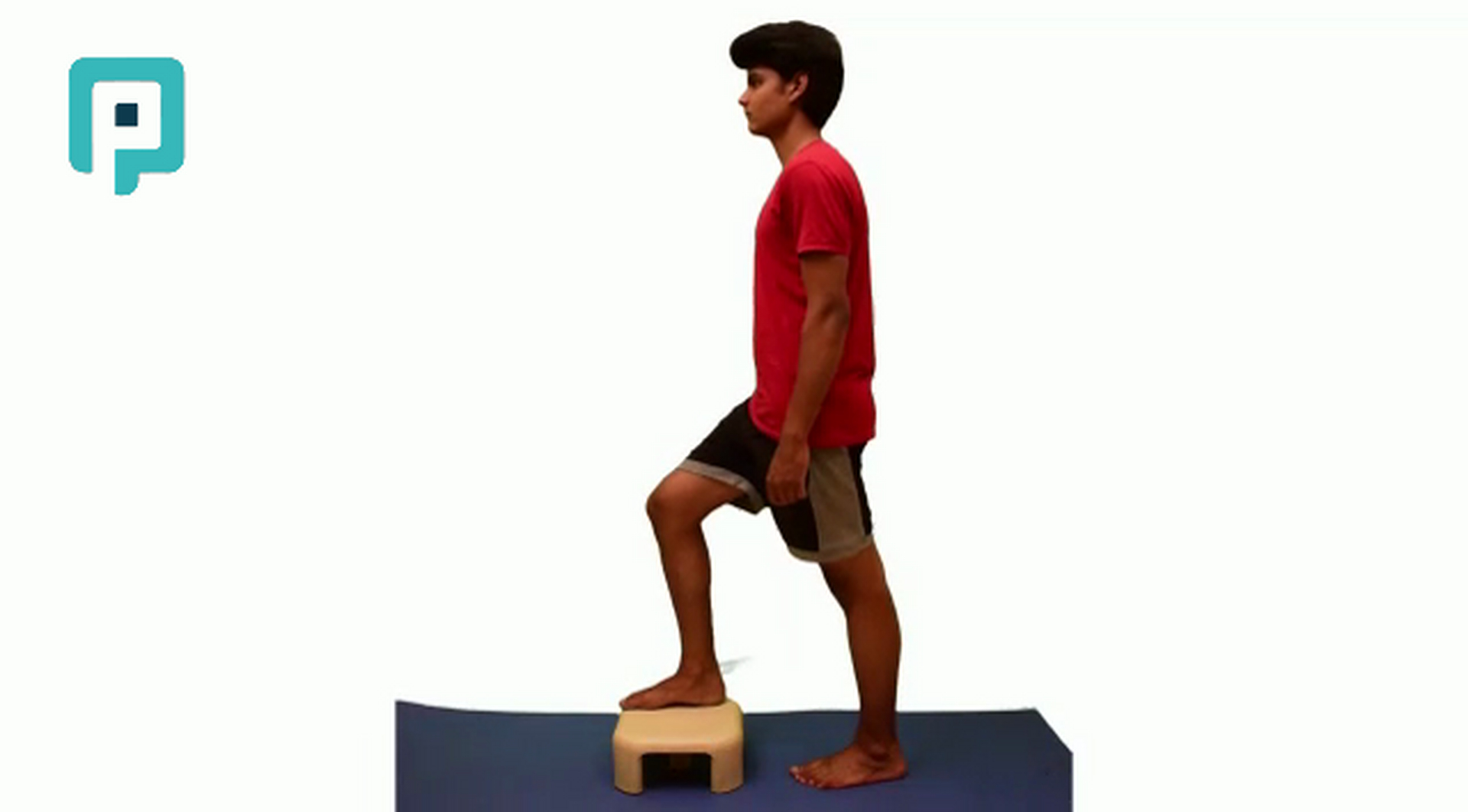 step up and down with core stabilization - beginner Trunk exercise