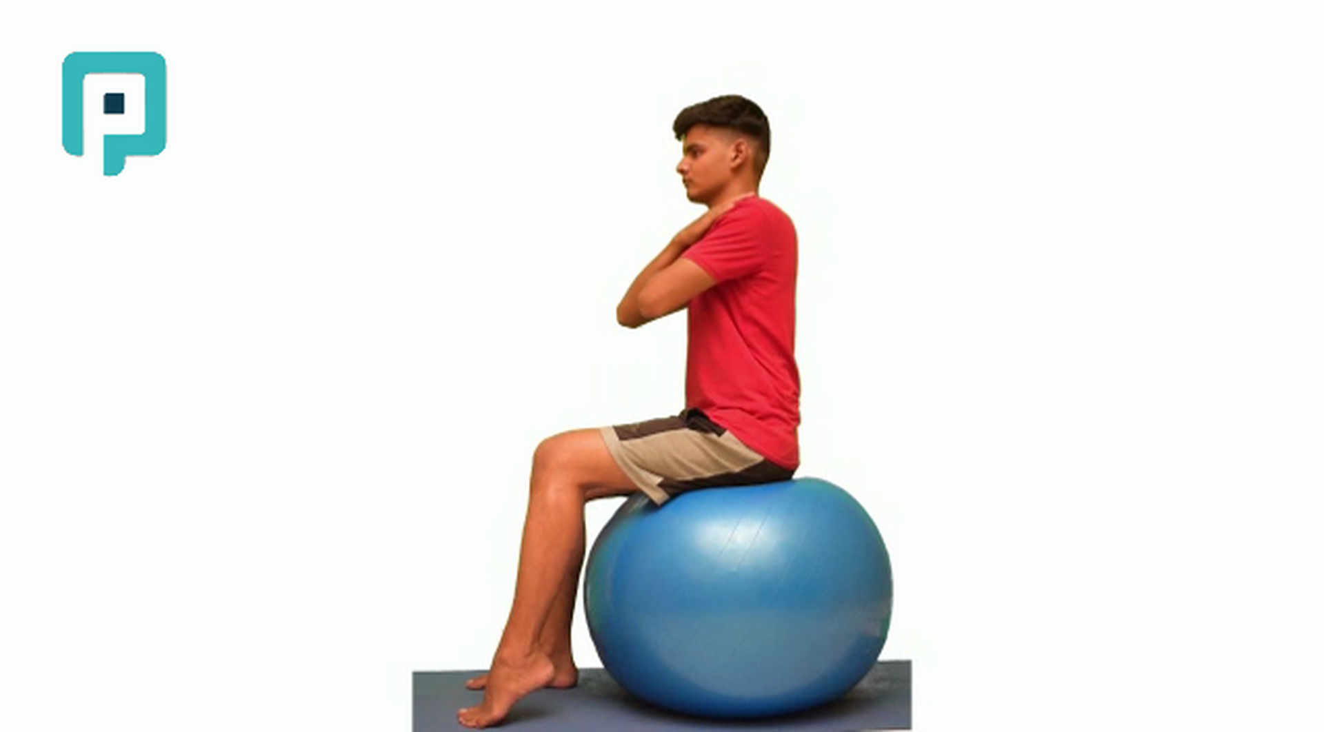 alternate heel raise on swiss ball - beginner Trunk exercise