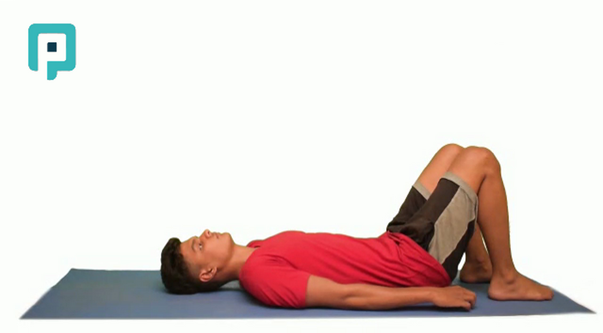 supine alternate arm leg lift - beginner Trunk exercise