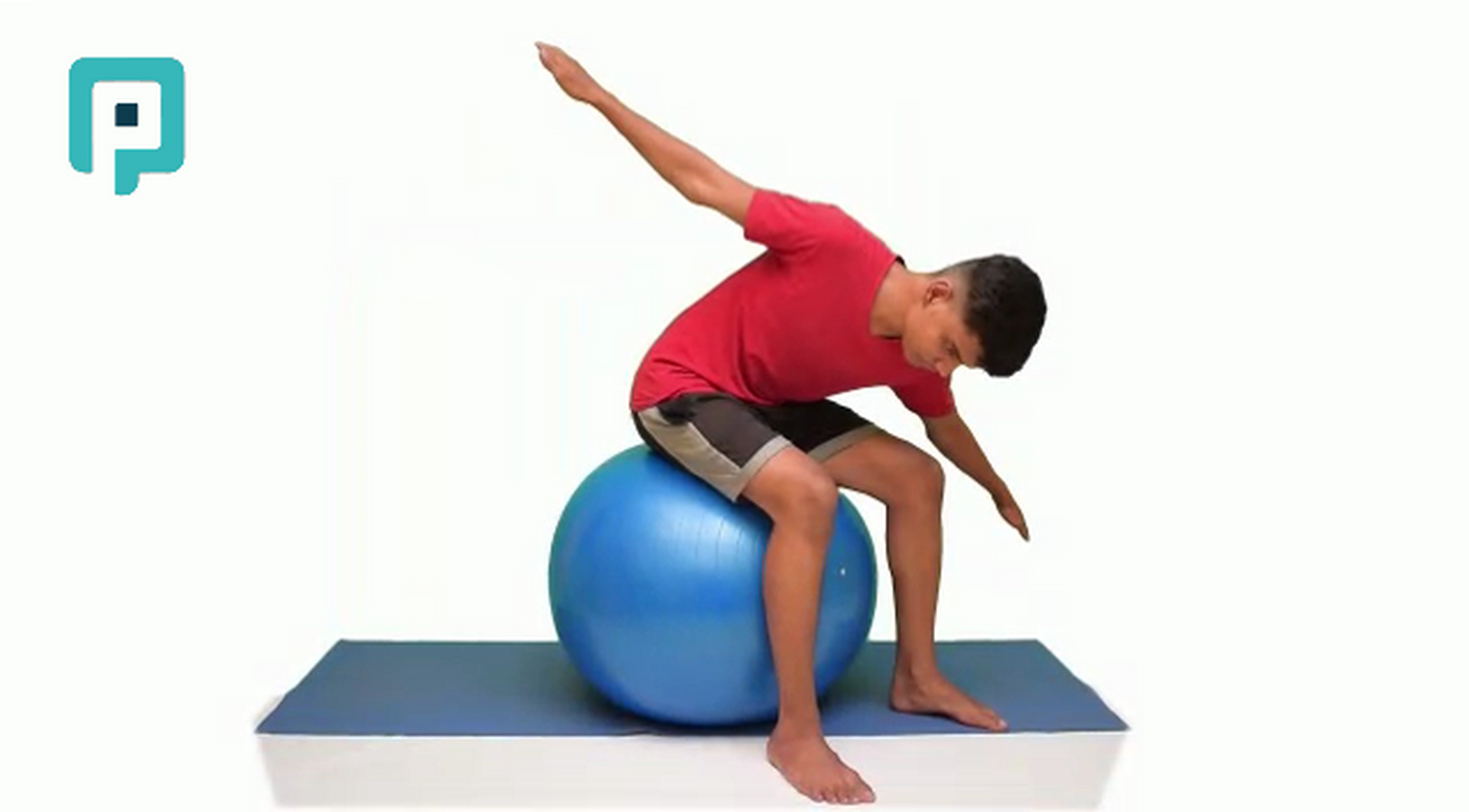 seated oblique rotation on swiss ball - beginner Trunk exercise