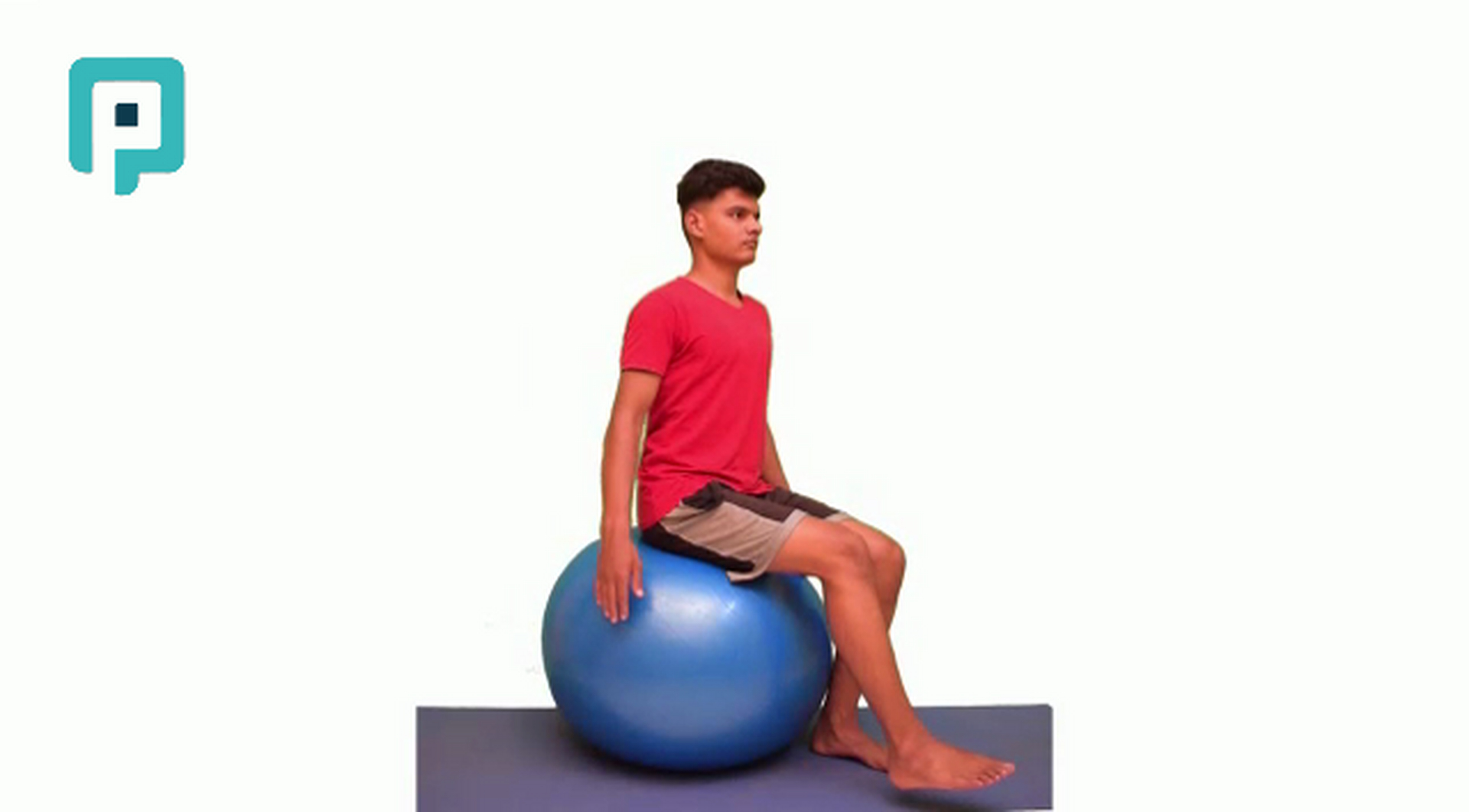 seated leg lift with trunk rotation on swiss ball - beginner Trunk exercise