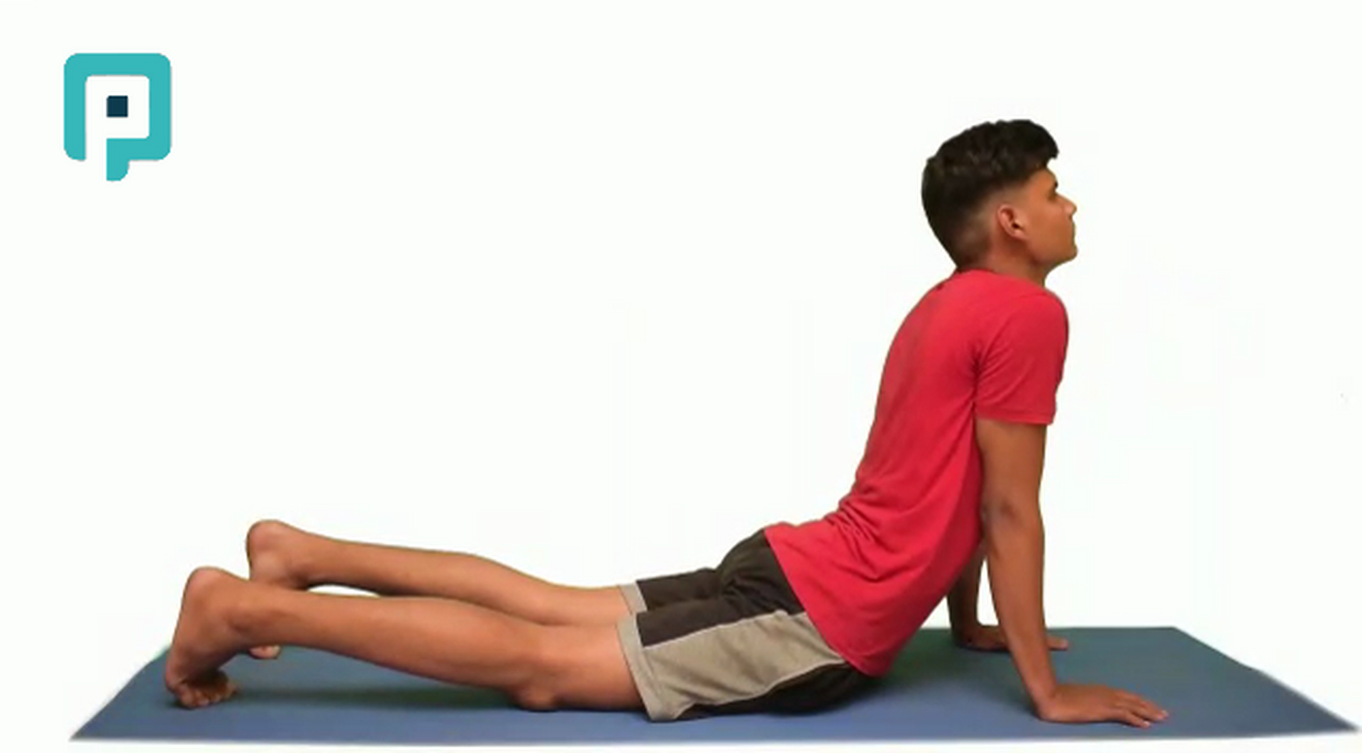 upward dog - beginner Trunk exercise