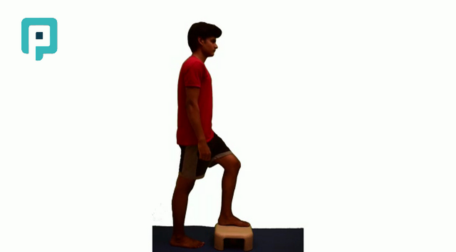 forward step up exercise - beginner Trunk exercise