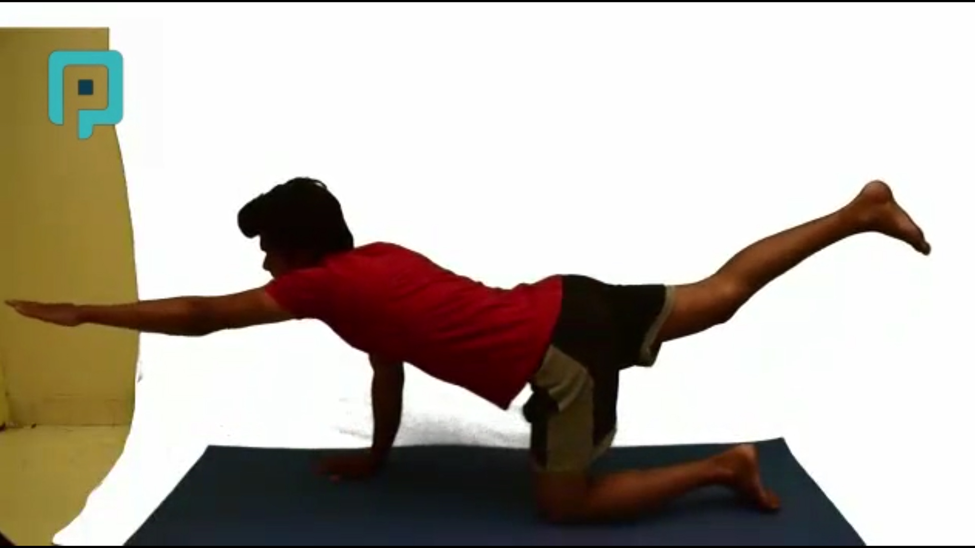 bird dog - beginner Trunk exercise