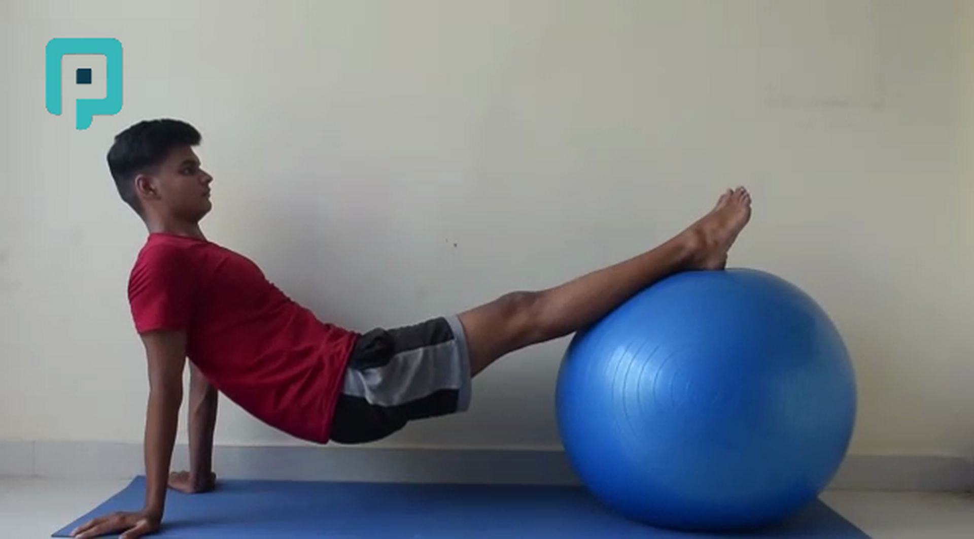 supine bridge on swiss ball with alternating leg lift - beginner Trunk exercise