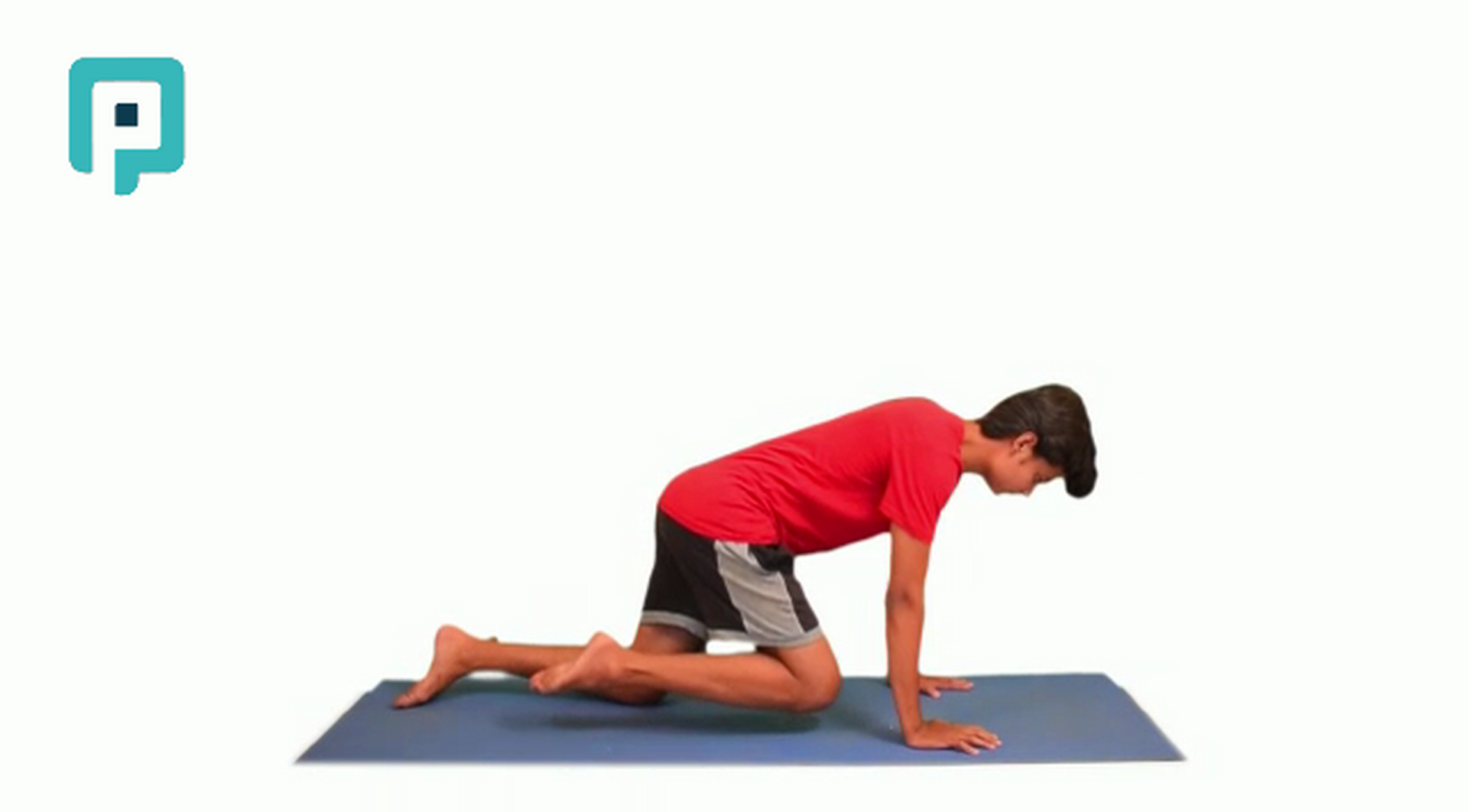 modified mountain climber - beginner Trunk exercise