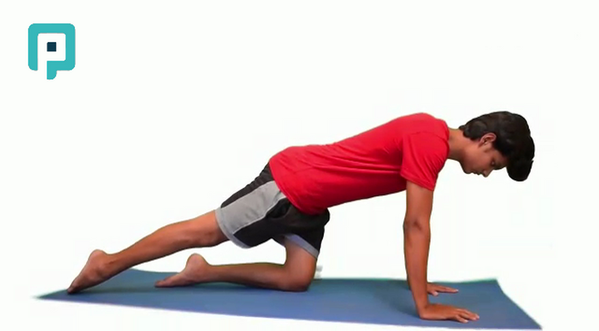 quadruped toe sliding - beginner Trunk exercise