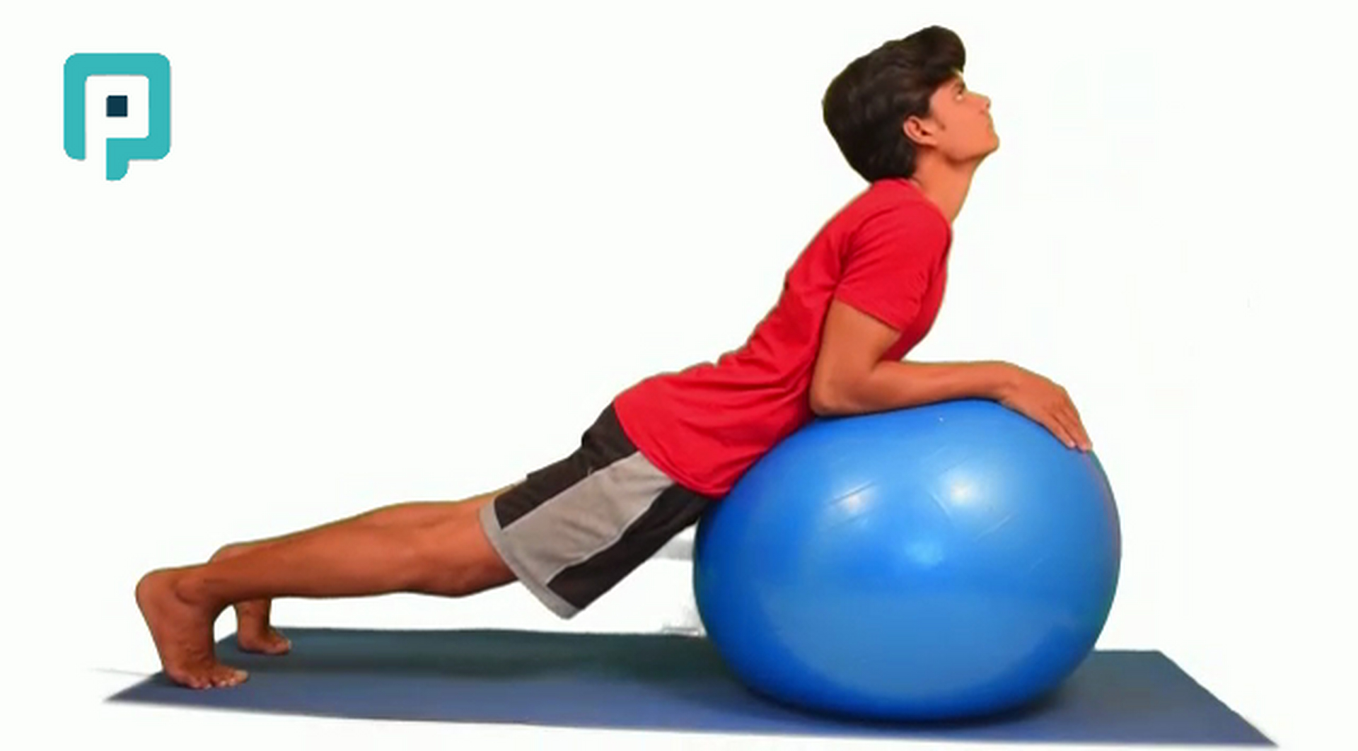 prone back extension on swiss ball - beginner Trunk exercise