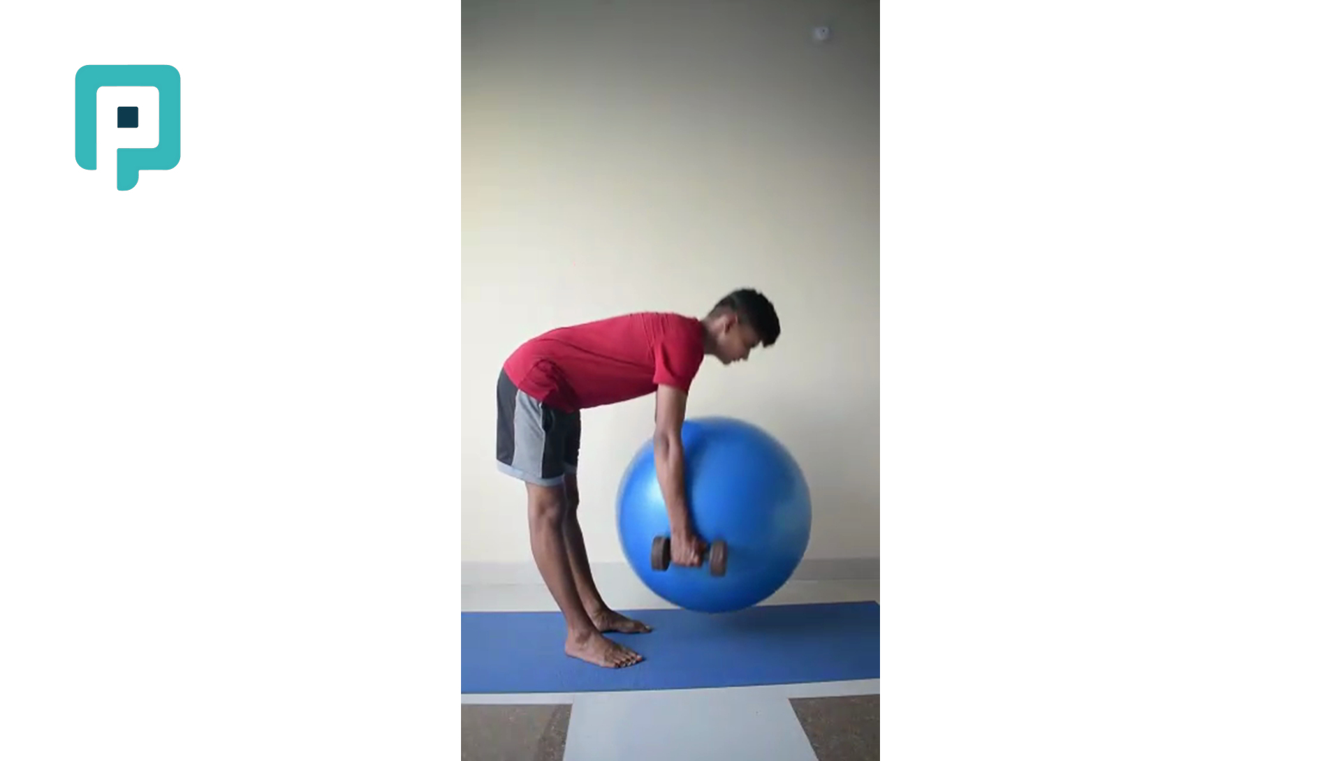 deadlift with swiss ball and dumbbell - beginner Trunk exercise