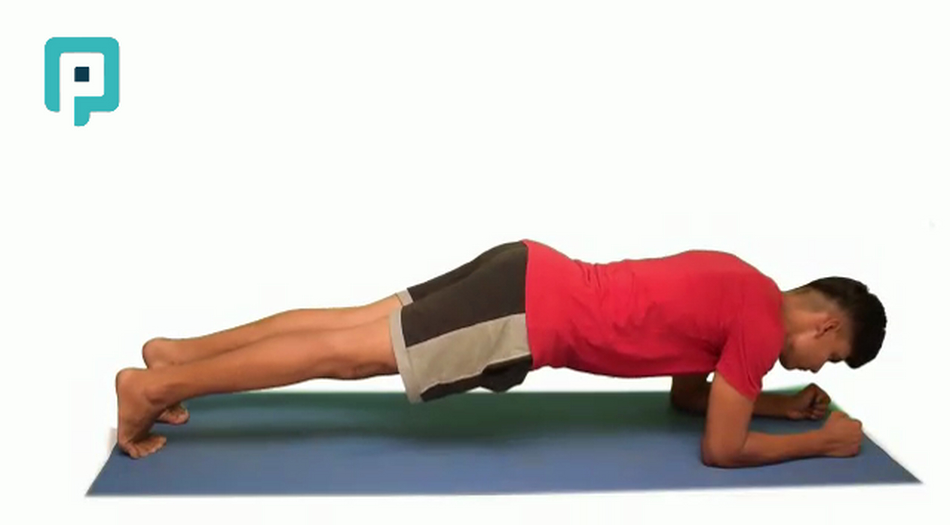 plank on elbows with hip lift - beginner Trunk exercise